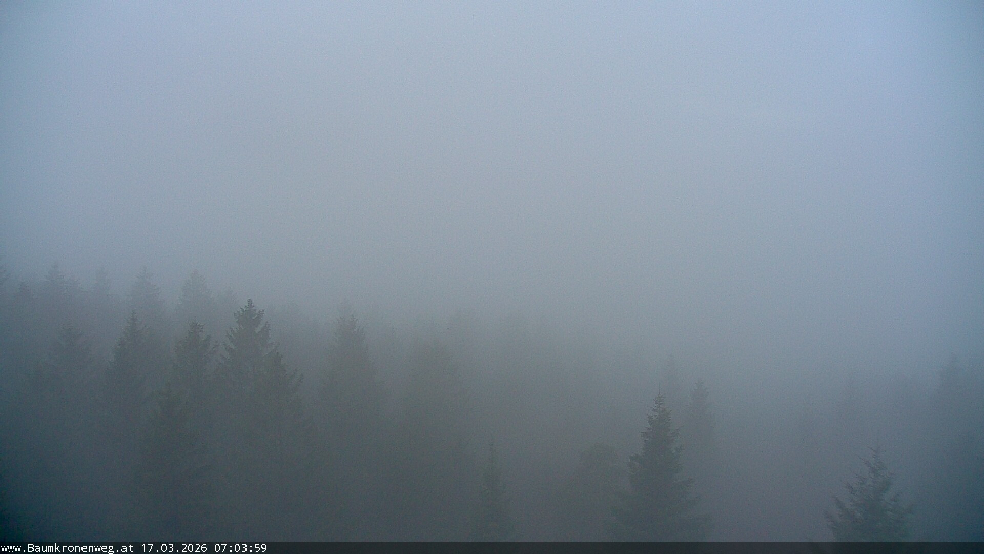 Archiv Foto Webcam Erlebnisturm Baumkronenweg Kopfing