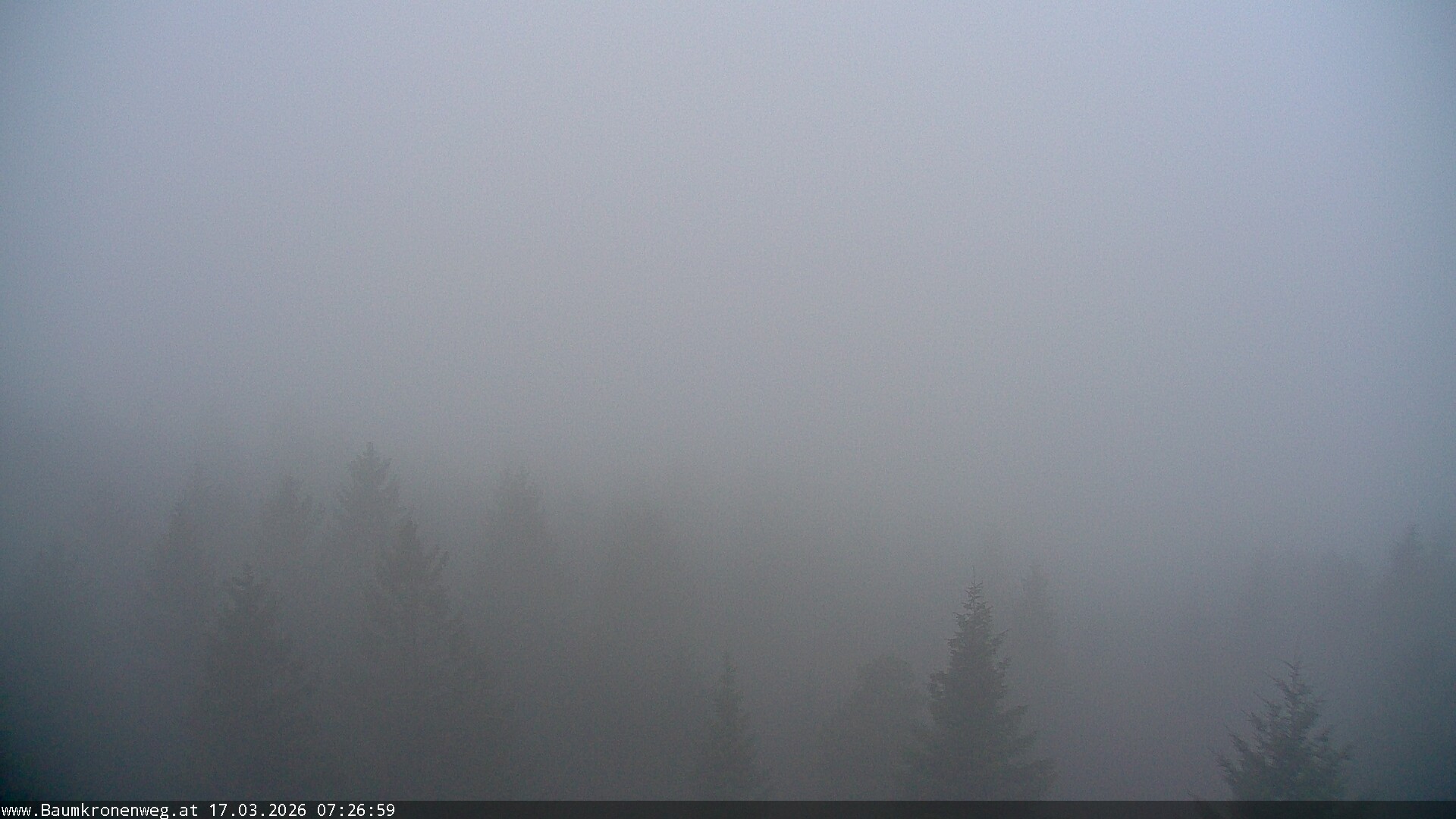 Archiv Foto Webcam Erlebnisturm Baumkronenweg Kopfing