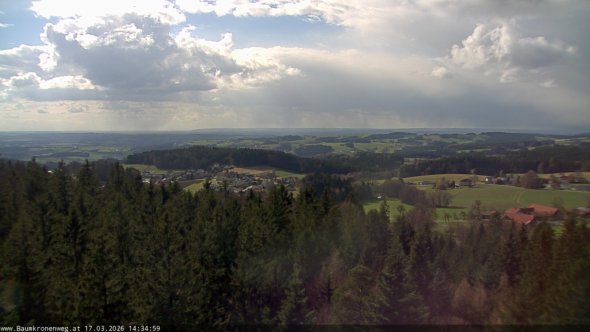 Archiv Foto Webcam Erlebnisturm Baumkronenweg Kopfing
