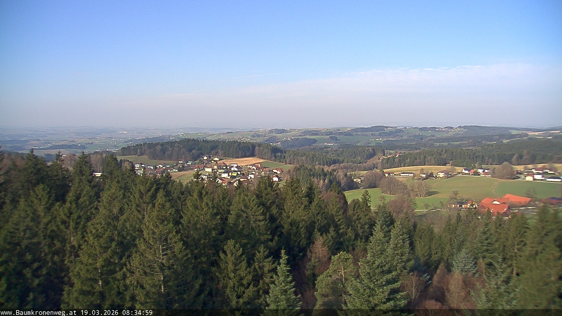 Archiv Foto Webcam Erlebnisturm Baumkronenweg Kopfing