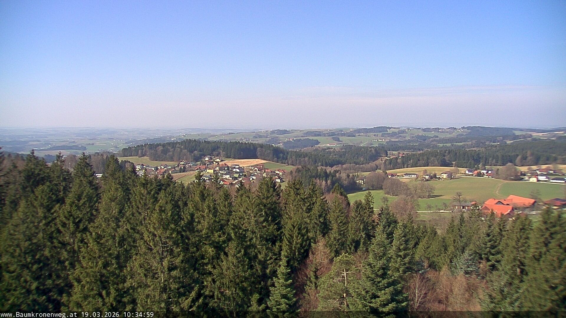 Archiv Foto Webcam Erlebnisturm Baumkronenweg Kopfing
