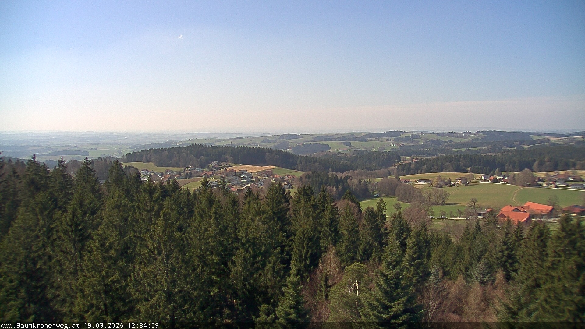 Archiv Foto Webcam Erlebnisturm Baumkronenweg Kopfing