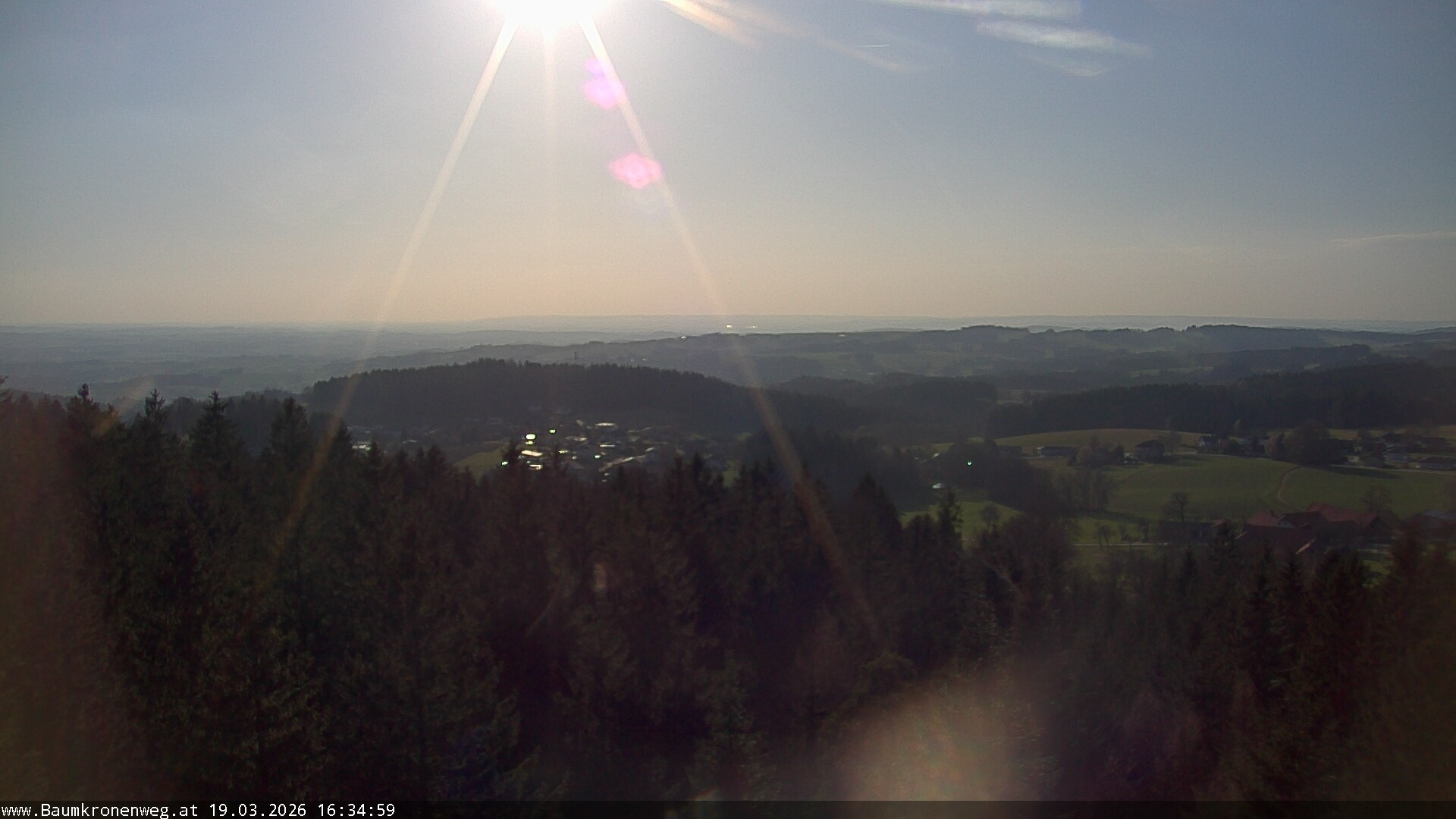 Archiv Foto Webcam Erlebnisturm Baumkronenweg Kopfing