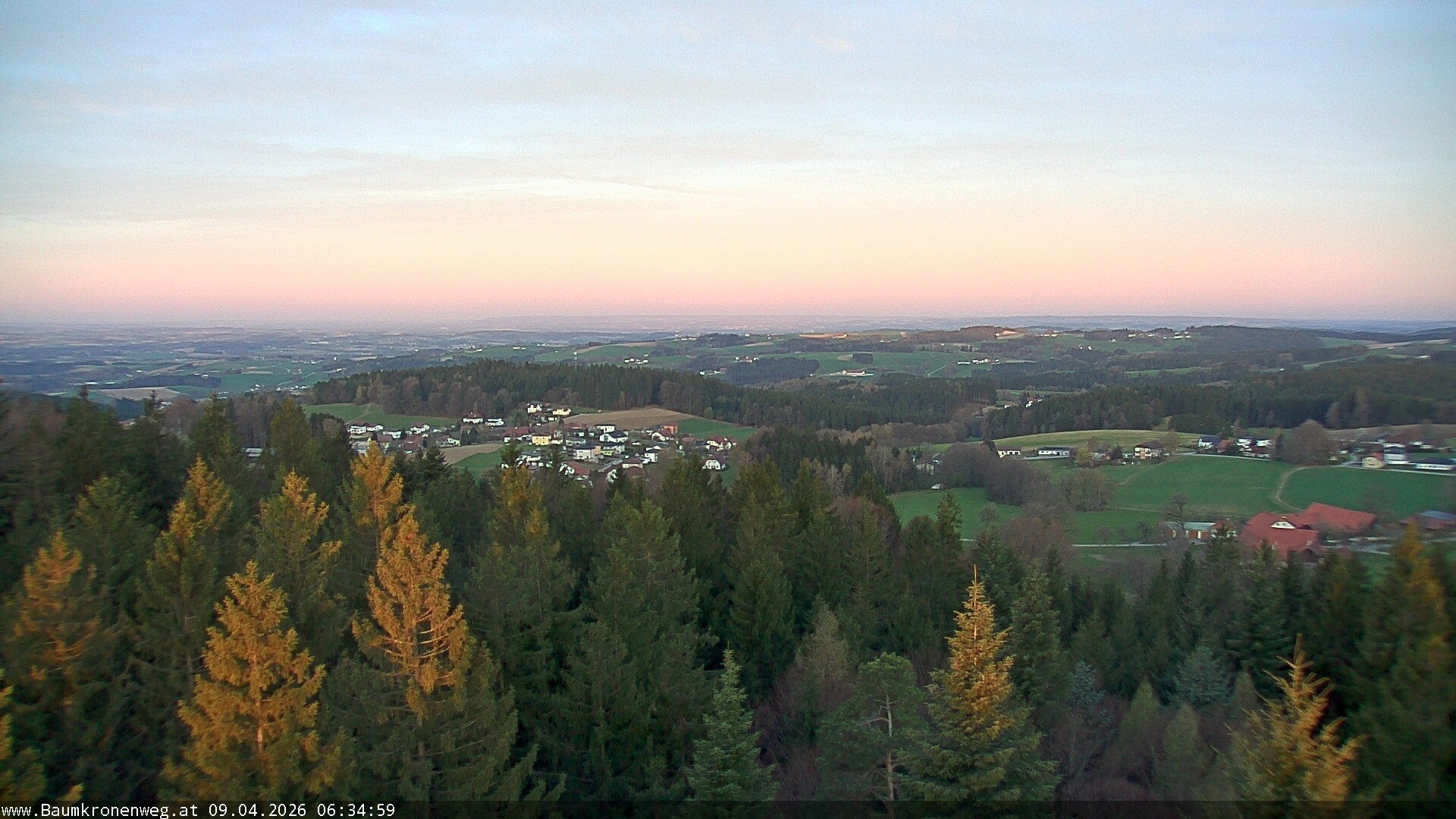 Archiv Foto Webcam Erlebnisturm Baumkronenweg Kopfing