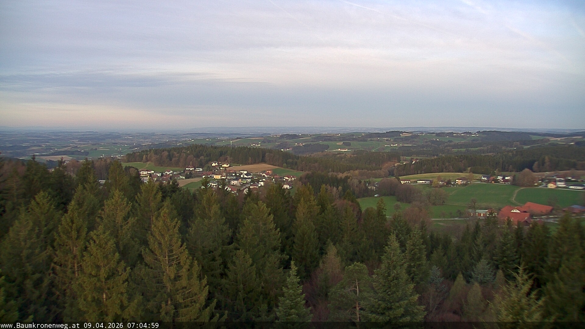 Archiv Foto Webcam Erlebnisturm Baumkronenweg Kopfing