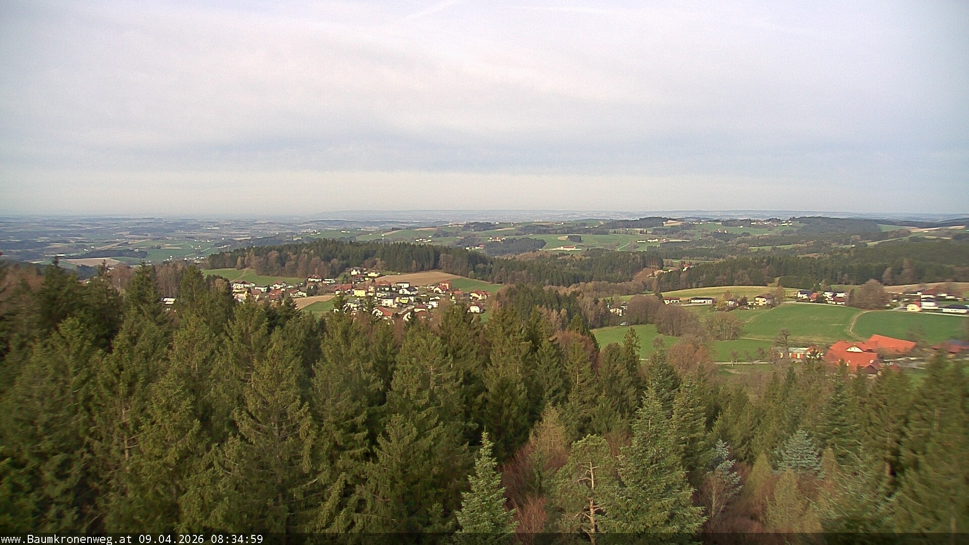 Archiv Foto Webcam Erlebnisturm Baumkronenweg Kopfing