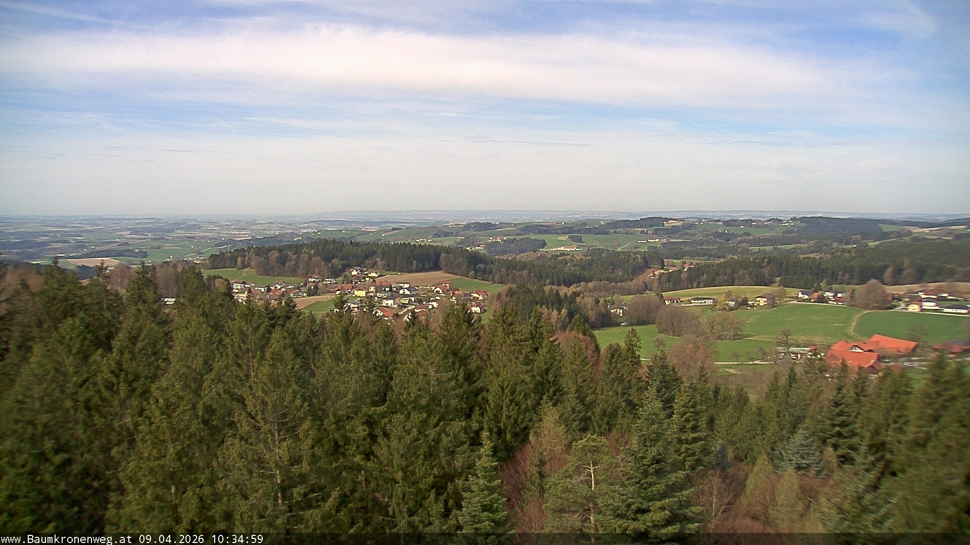 Archiv Foto Webcam Erlebnisturm Baumkronenweg Kopfing