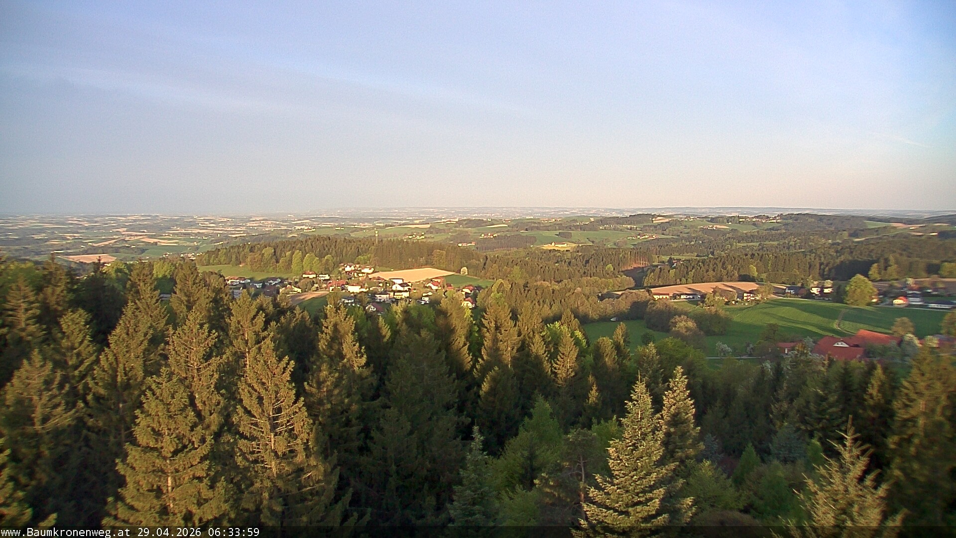 Archiv Foto Webcam Erlebnisturm Baumkronenweg Kopfing