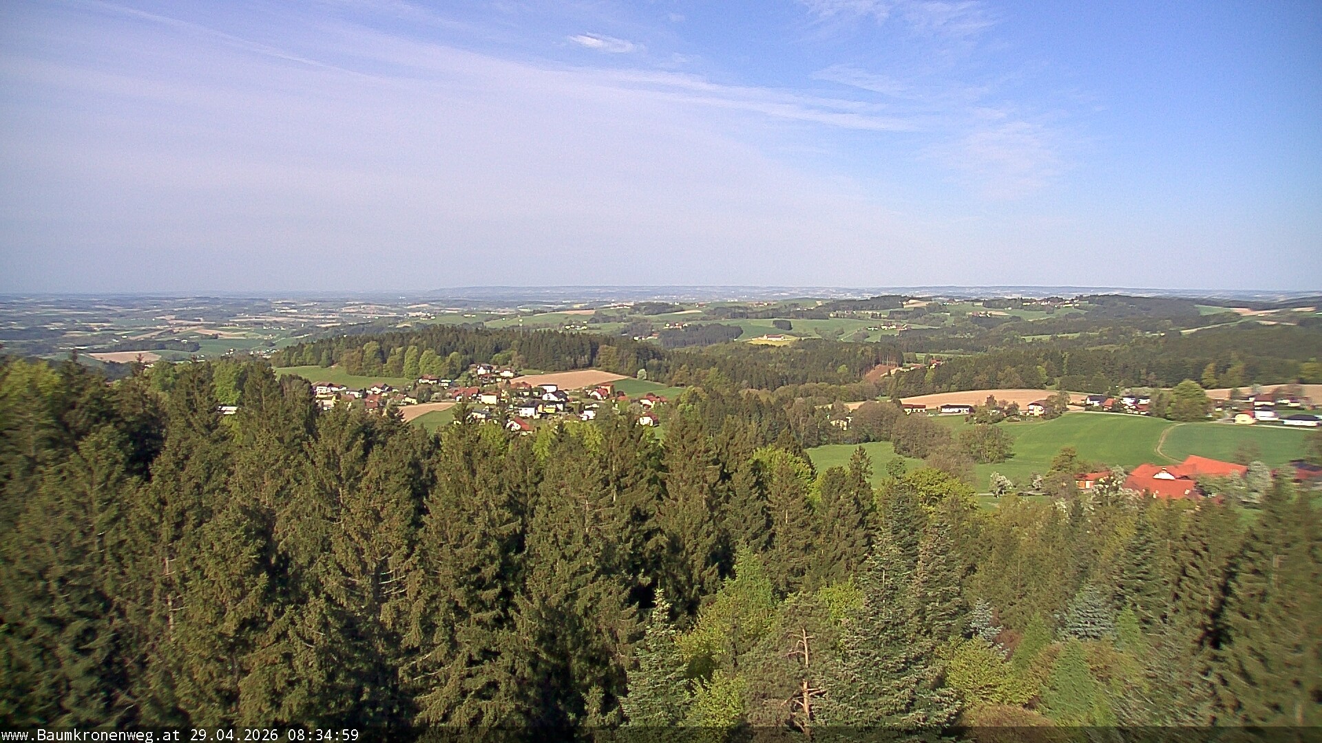 Archiv Foto Webcam Erlebnisturm Baumkronenweg Kopfing