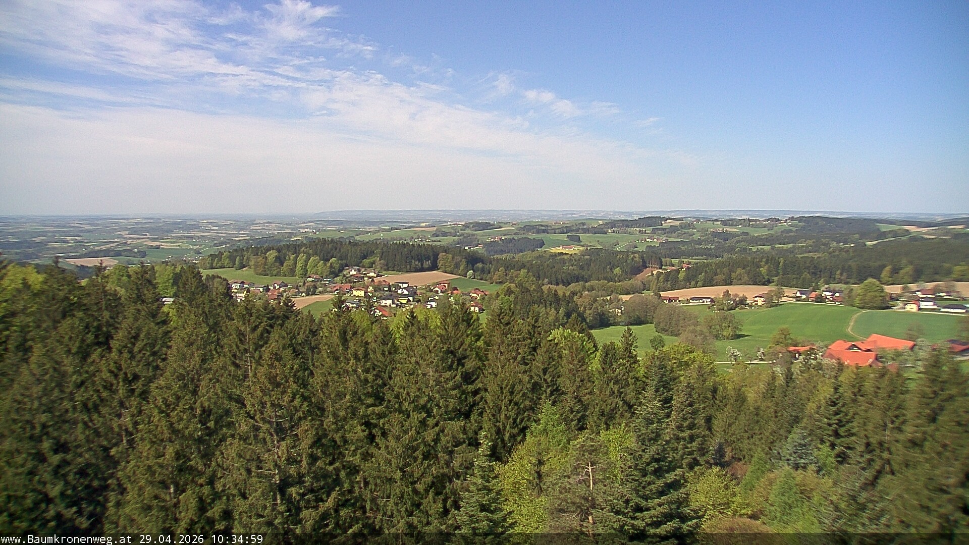 Archiv Foto Webcam Erlebnisturm Baumkronenweg Kopfing