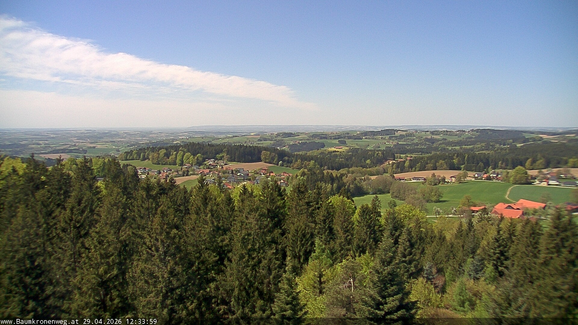 Archiv Foto Webcam Erlebnisturm Baumkronenweg Kopfing