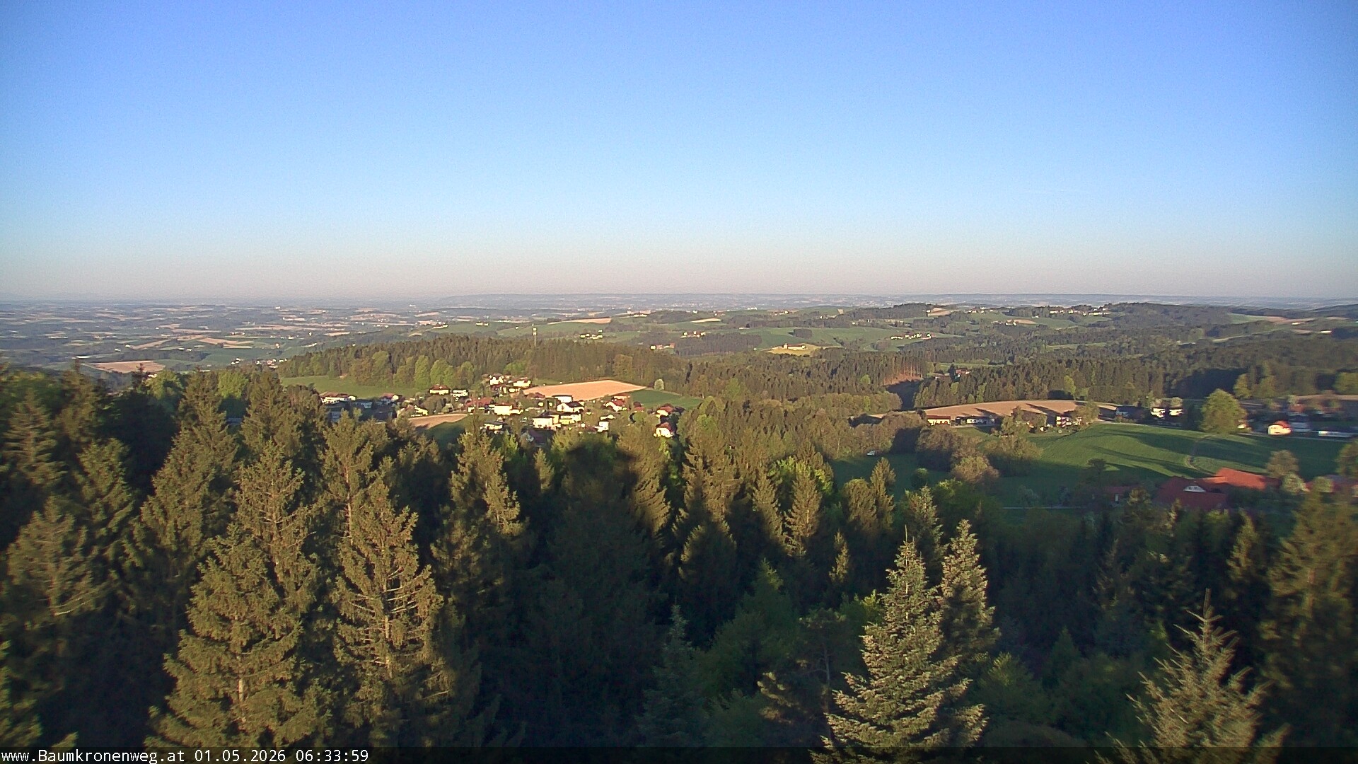 Archiv Foto Webcam Erlebnisturm Baumkronenweg Kopfing