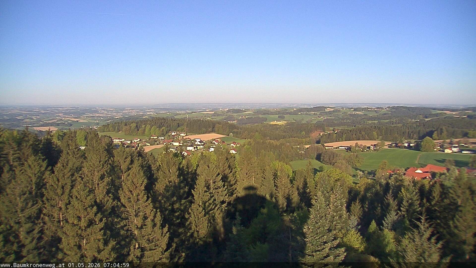 Archiv Foto Webcam Erlebnisturm Baumkronenweg Kopfing