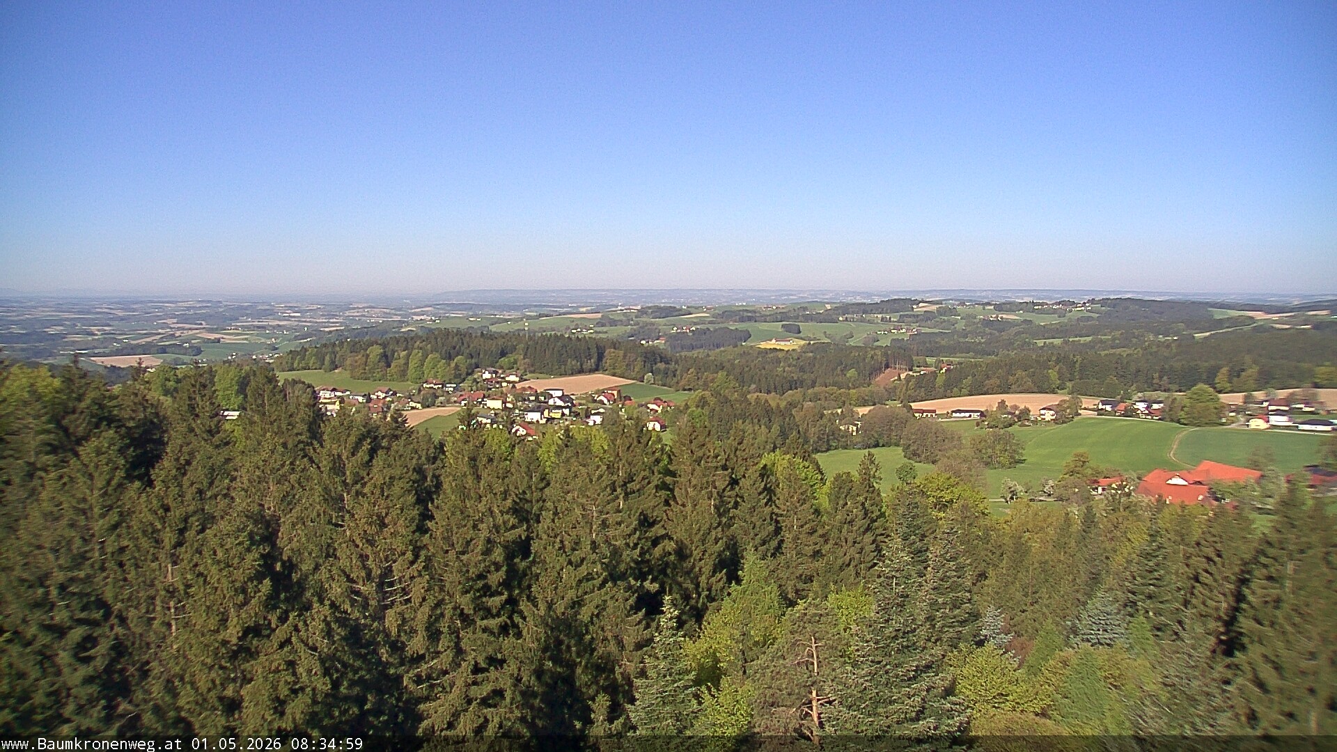 Archiv Foto Webcam Erlebnisturm Baumkronenweg Kopfing