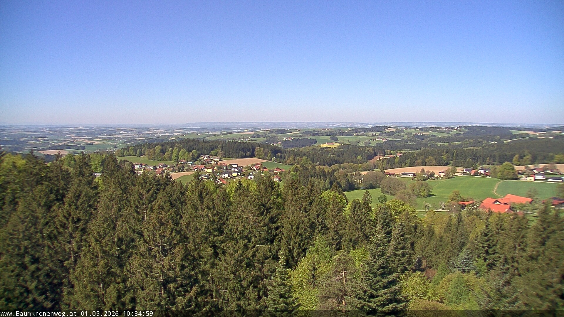Archiv Foto Webcam Erlebnisturm Baumkronenweg Kopfing