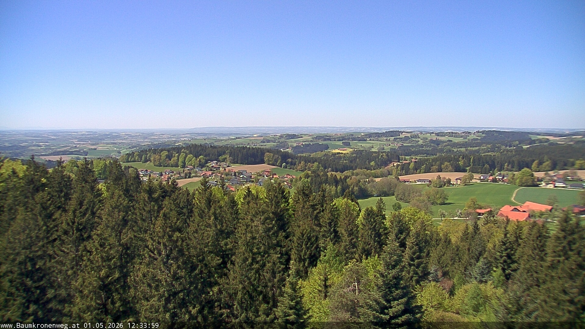 Archiv Foto Webcam Erlebnisturm Baumkronenweg Kopfing