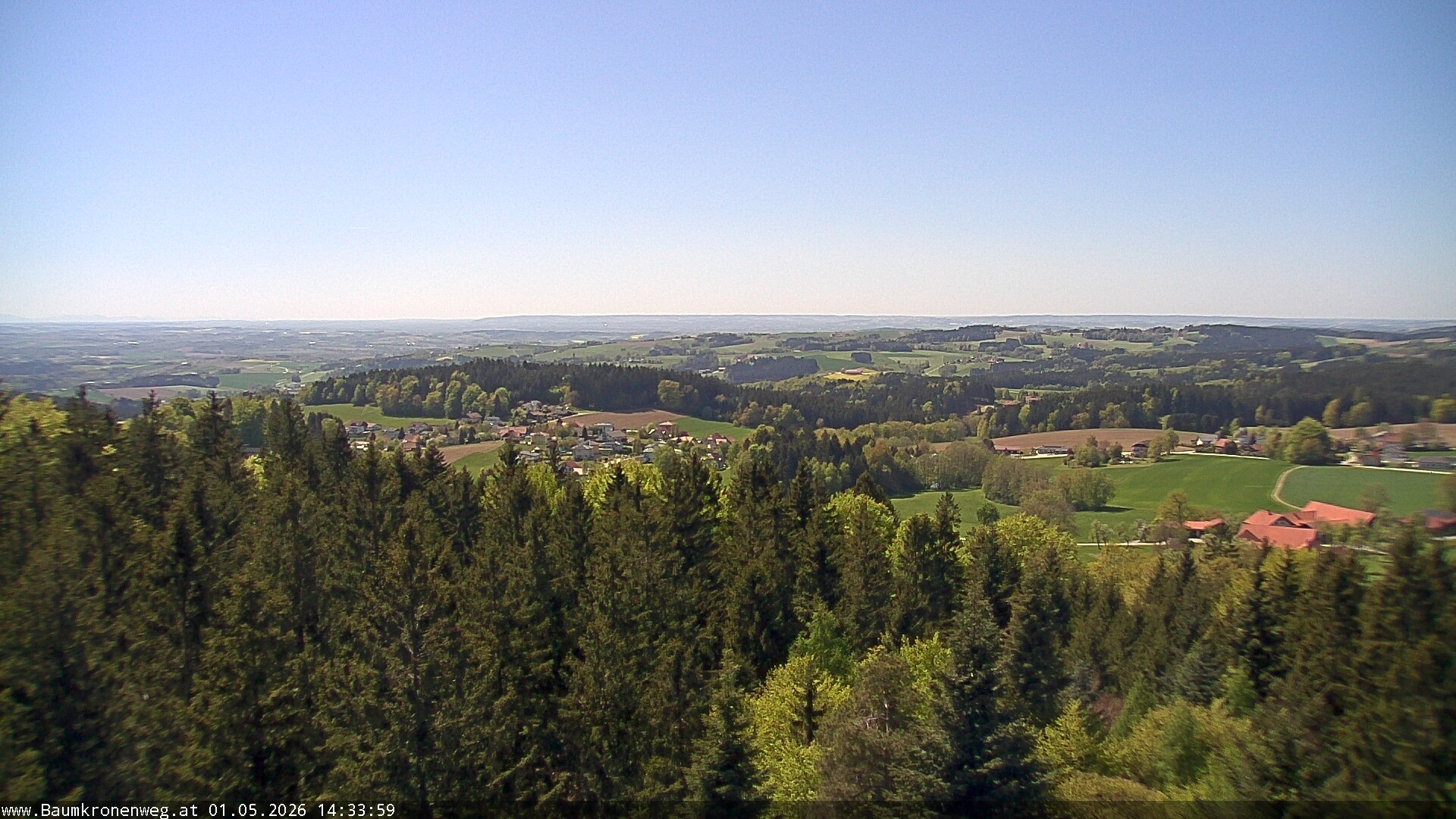 Archiv Foto Webcam Erlebnisturm Baumkronenweg Kopfing