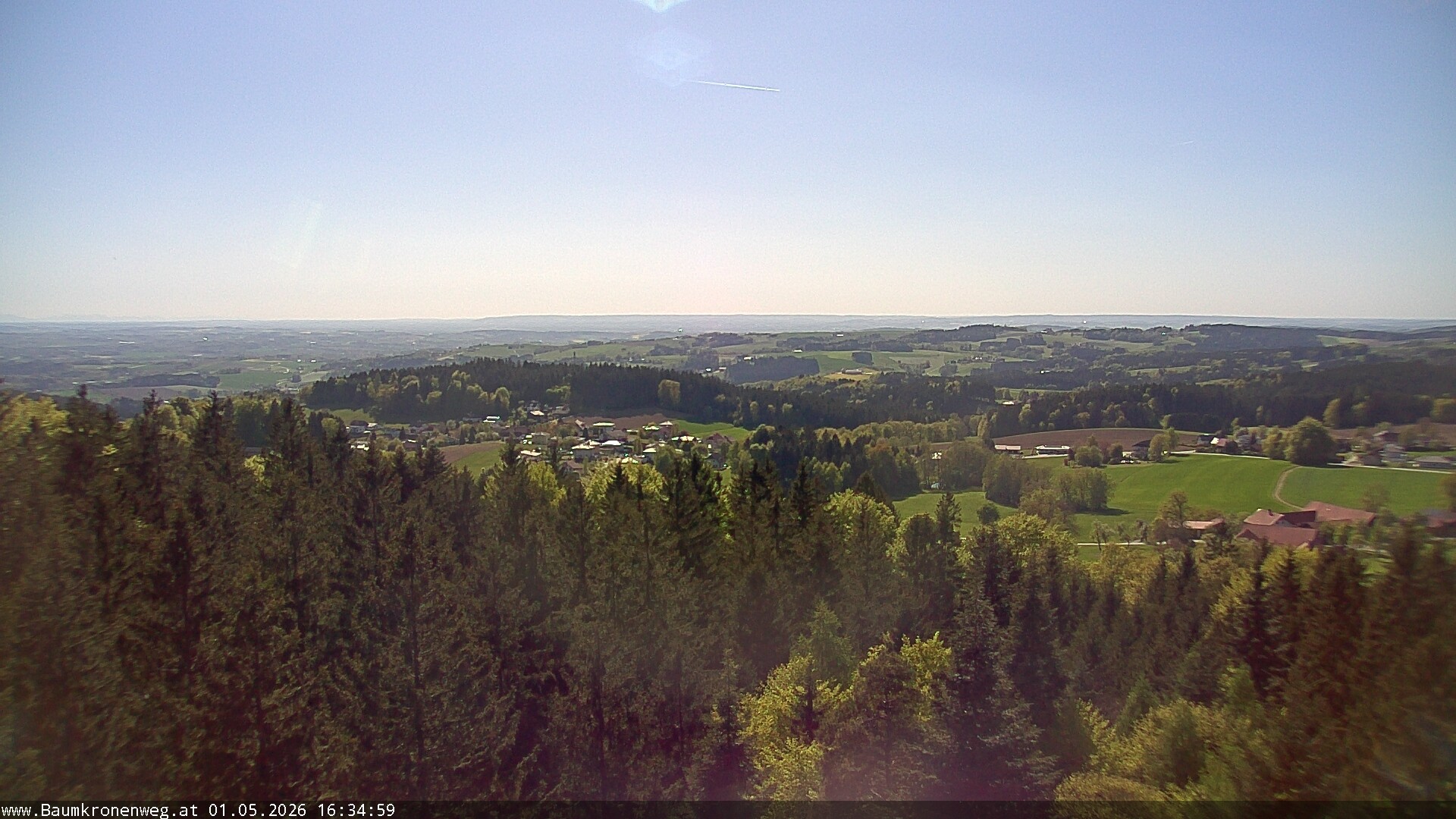 Archiv Foto Webcam Erlebnisturm Baumkronenweg Kopfing