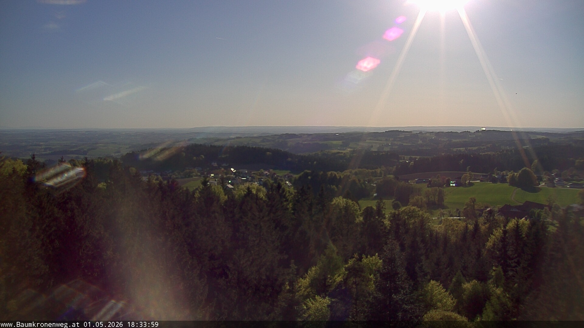 Archiv Foto Webcam Erlebnisturm Baumkronenweg Kopfing