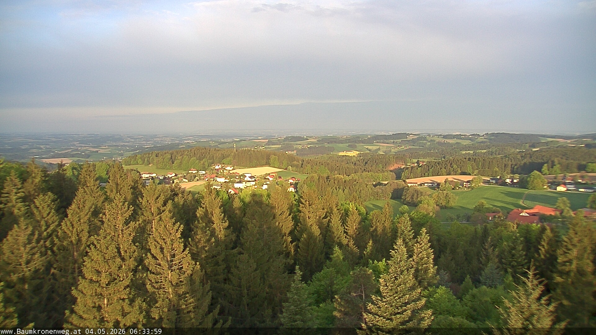 Archiv Foto Webcam Erlebnisturm Baumkronenweg Kopfing