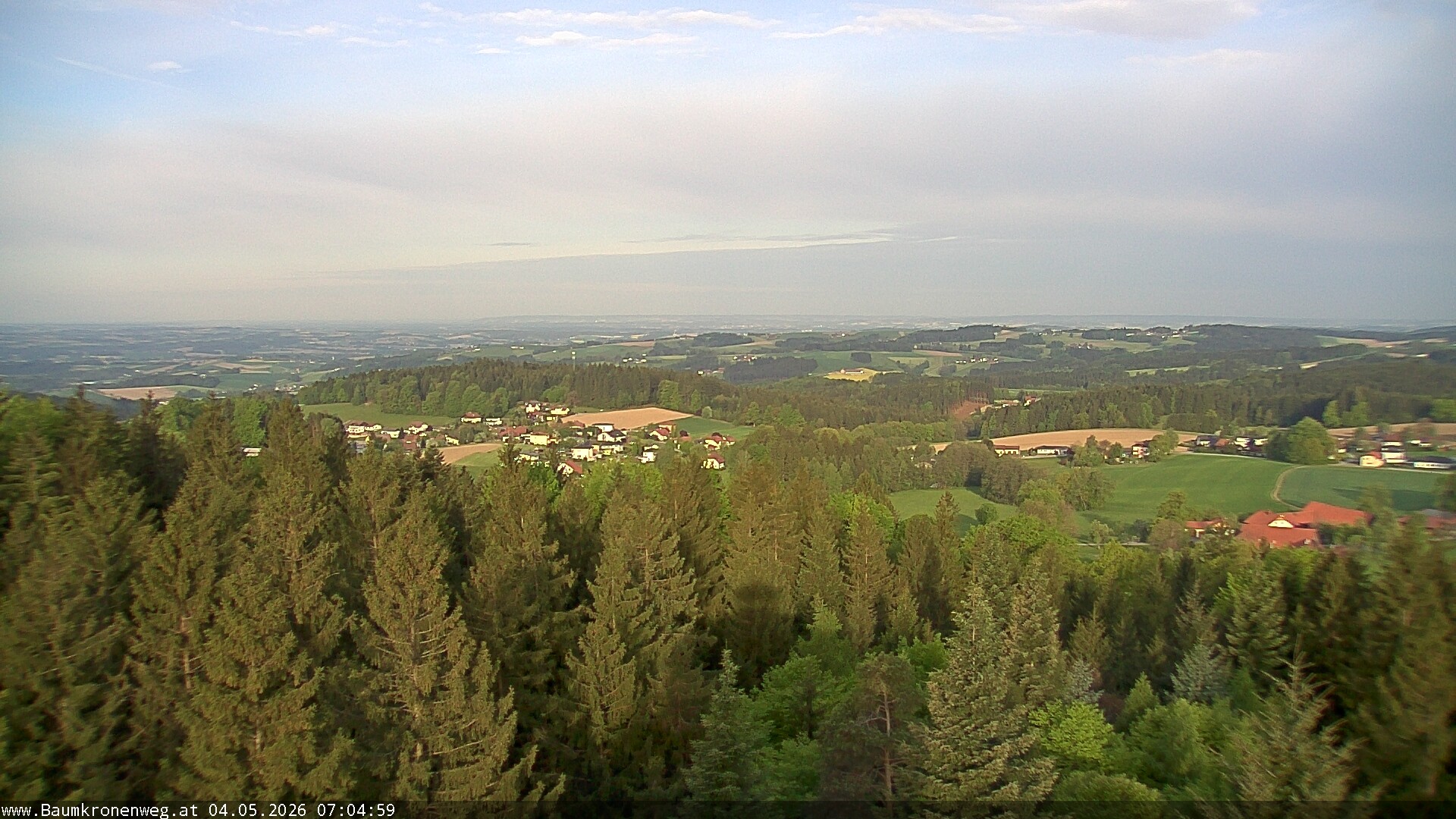 Archiv Foto Webcam Erlebnisturm Baumkronenweg Kopfing