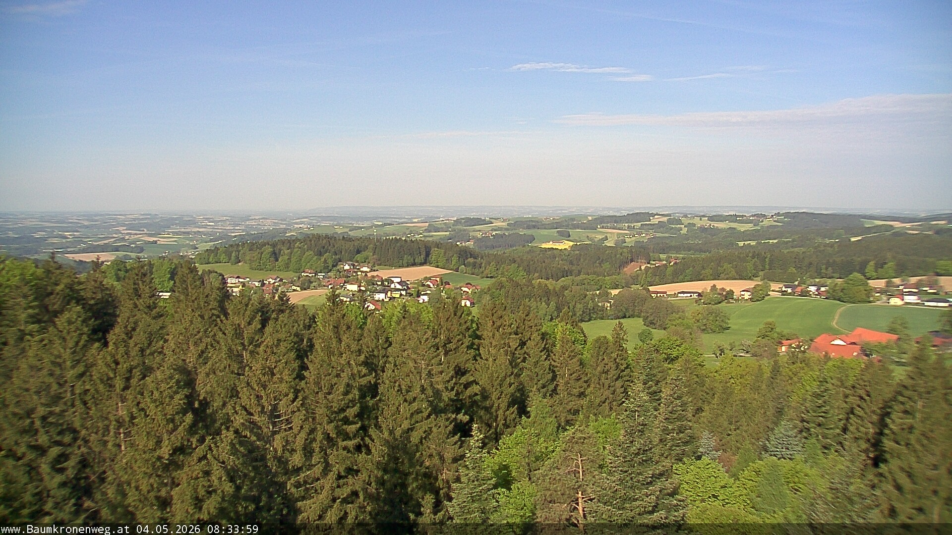Archiv Foto Webcam Erlebnisturm Baumkronenweg Kopfing
