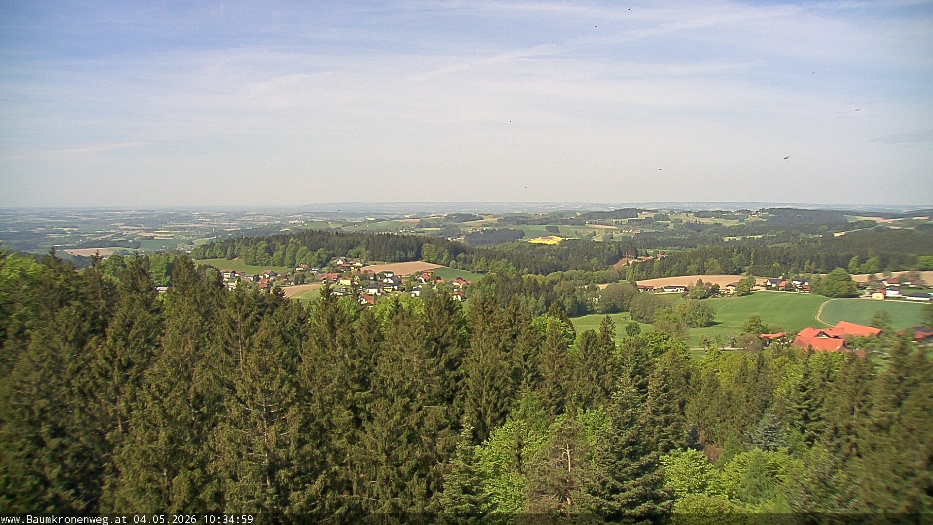 Archiv Foto Webcam Erlebnisturm Baumkronenweg Kopfing