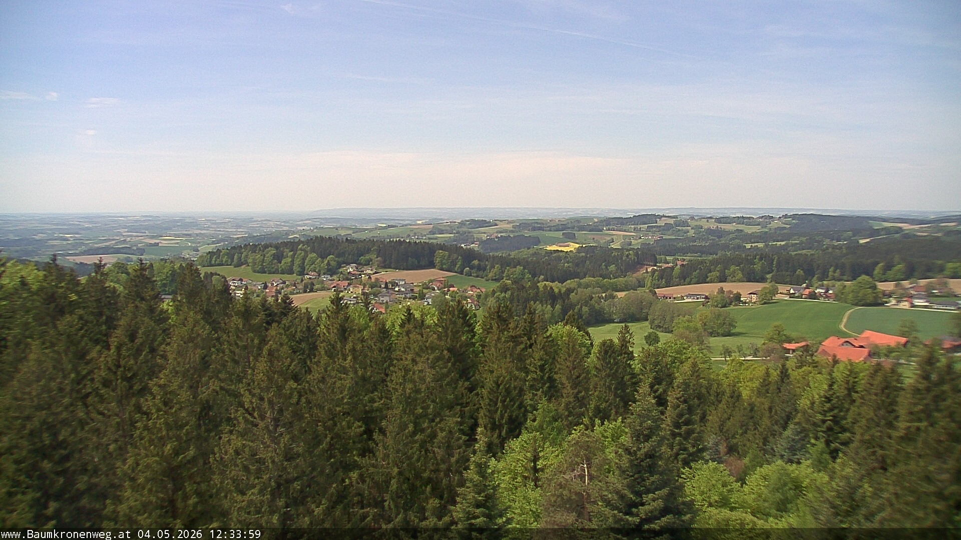 Archiv Foto Webcam Erlebnisturm Baumkronenweg Kopfing