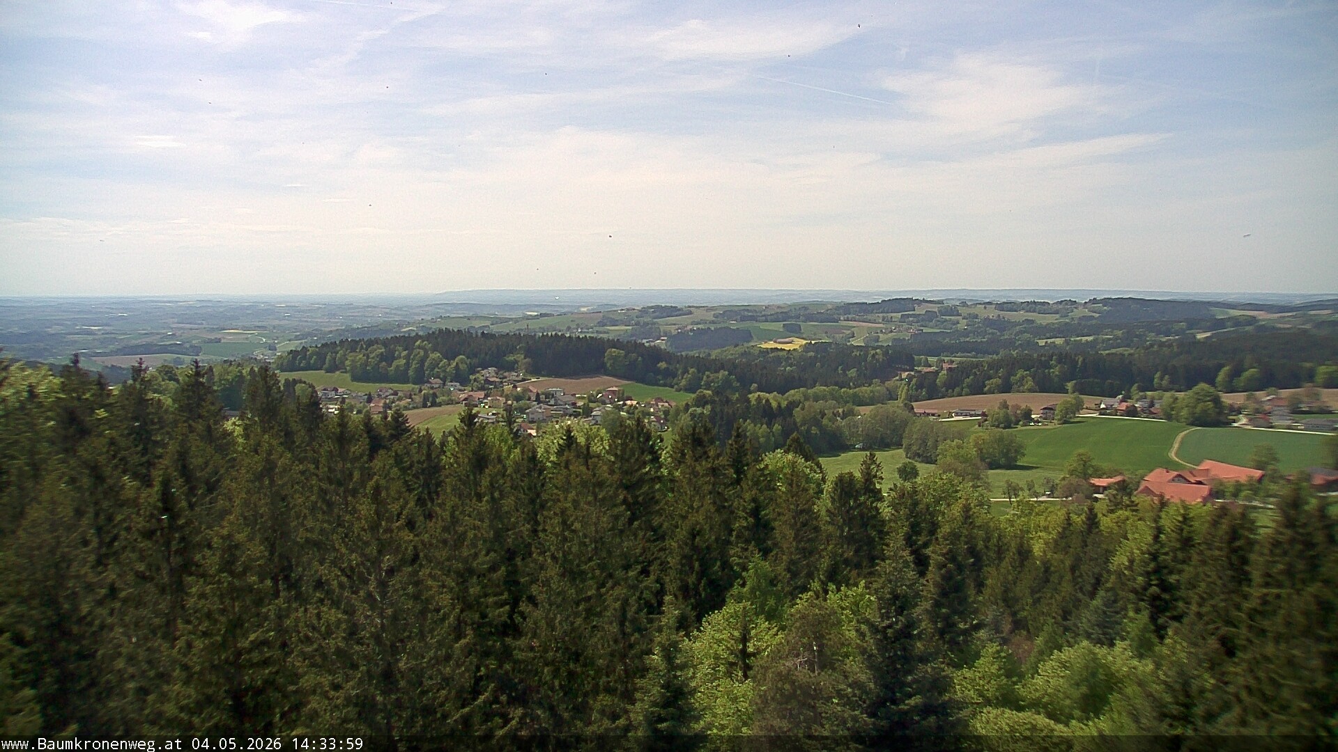 Archiv Foto Webcam Erlebnisturm Baumkronenweg Kopfing
