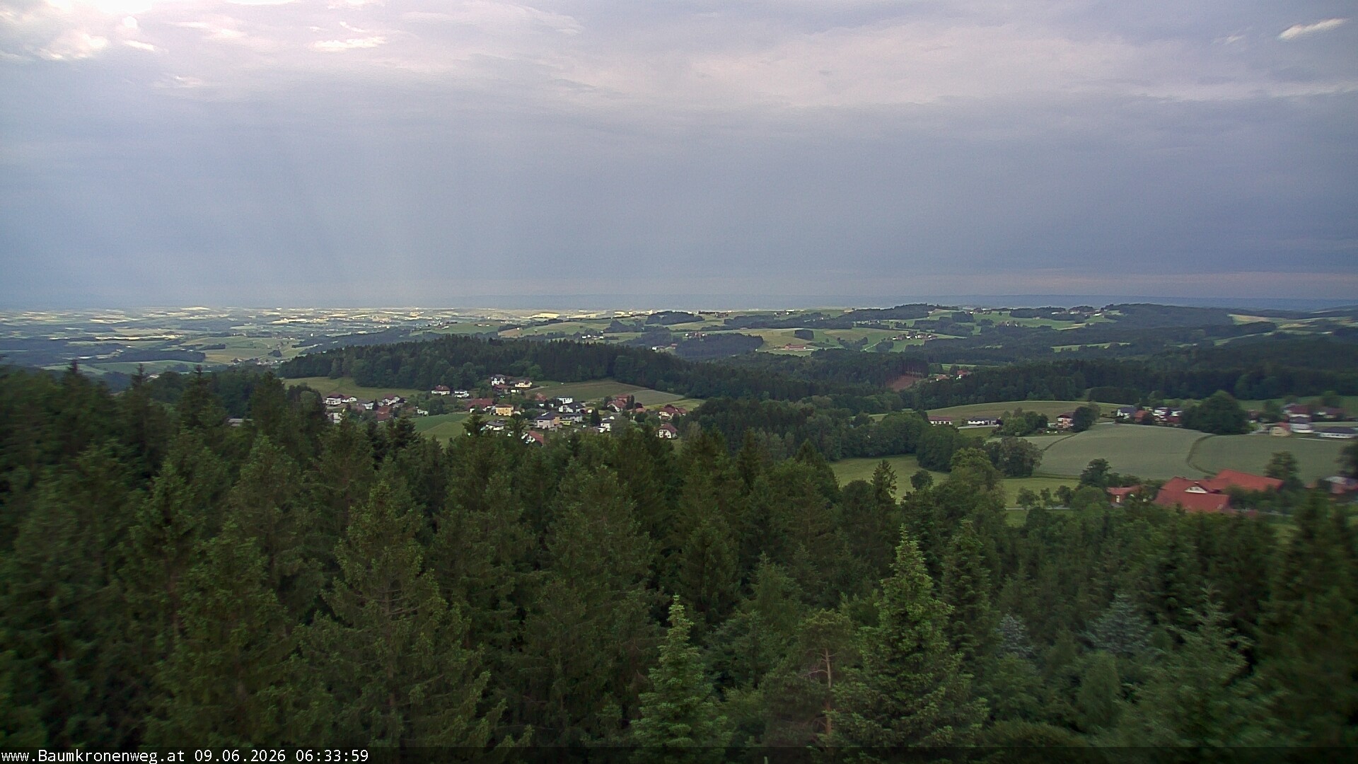 Archiv Foto Webcam Erlebnisturm Baumkronenweg Kopfing