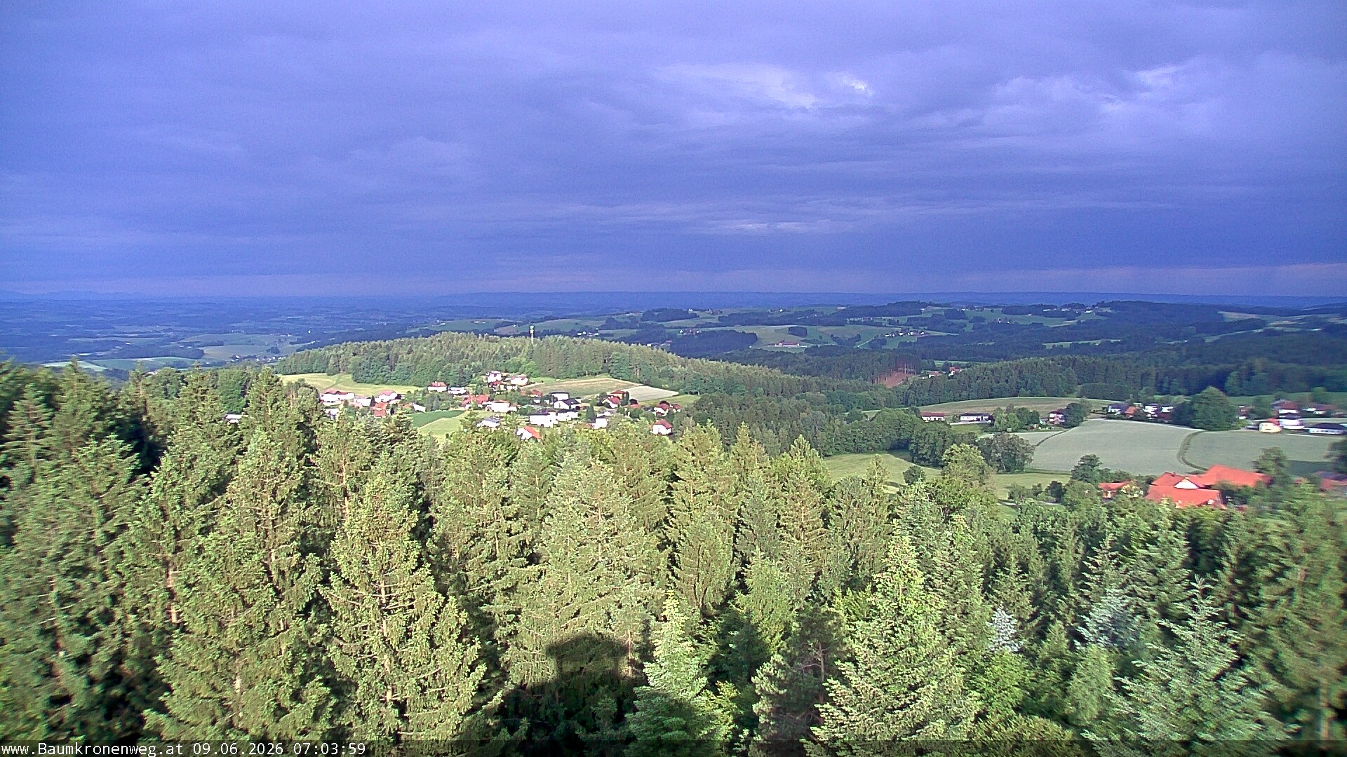 Archiv Foto Webcam Erlebnisturm Baumkronenweg Kopfing