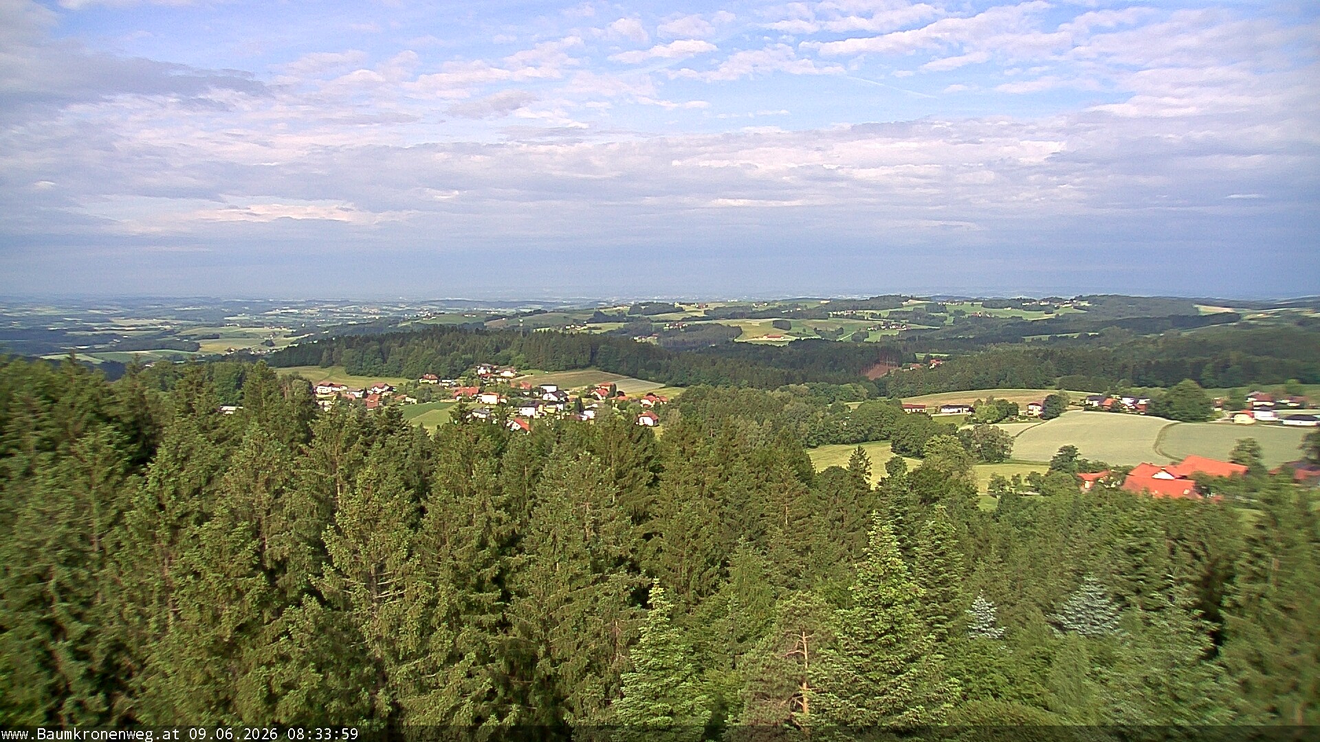 Archiv Foto Webcam Erlebnisturm Baumkronenweg Kopfing