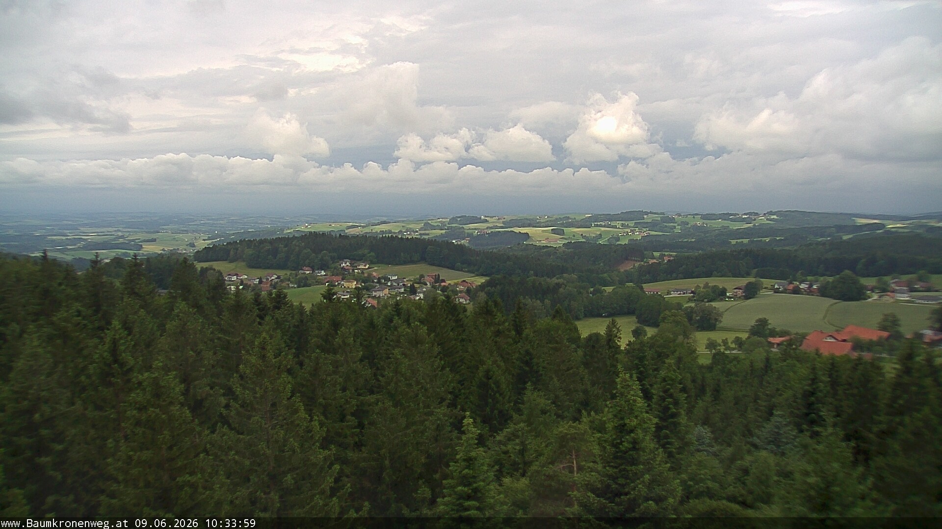 Archiv Foto Webcam Erlebnisturm Baumkronenweg Kopfing