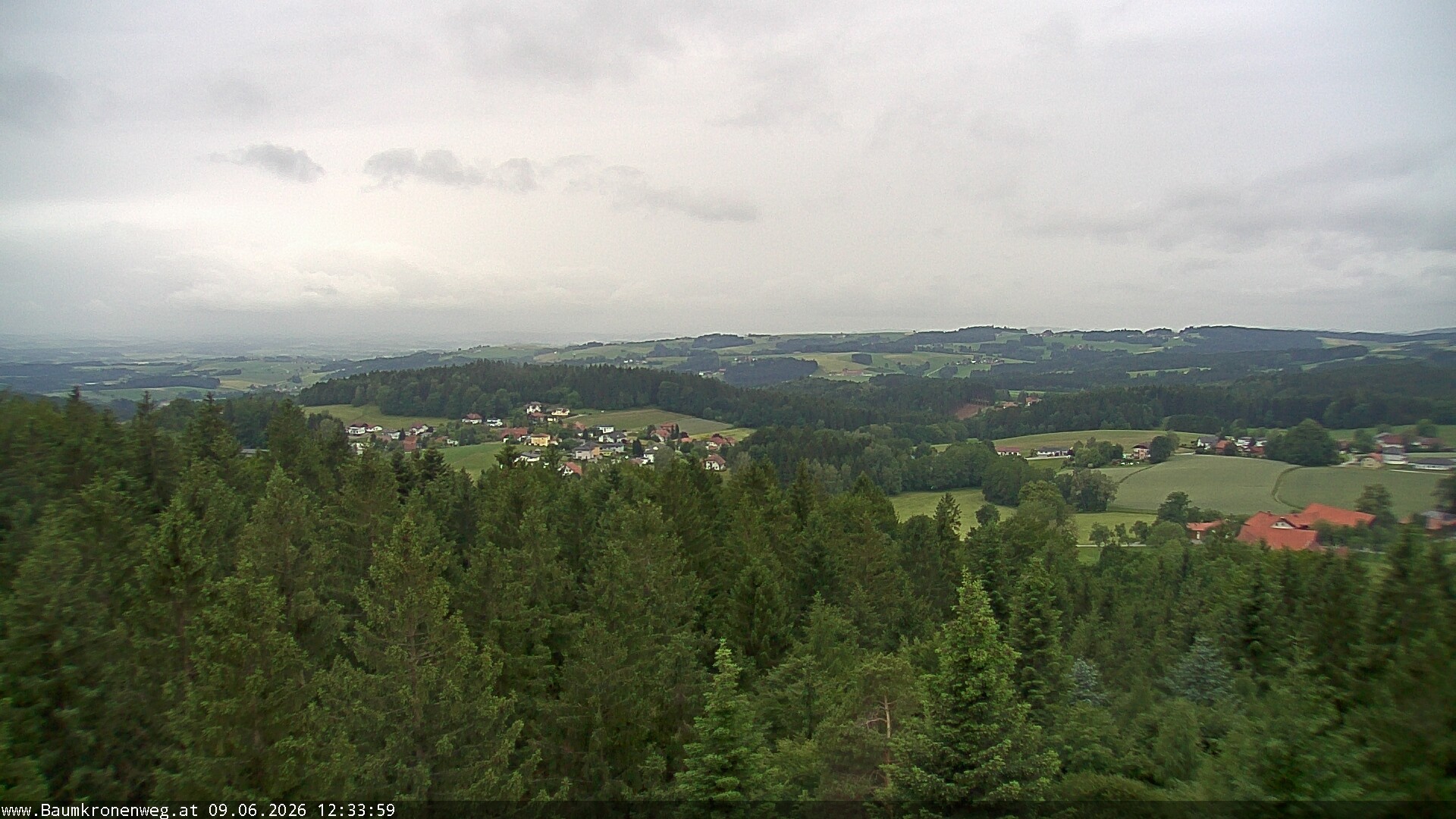 Archiv Foto Webcam Erlebnisturm Baumkronenweg Kopfing