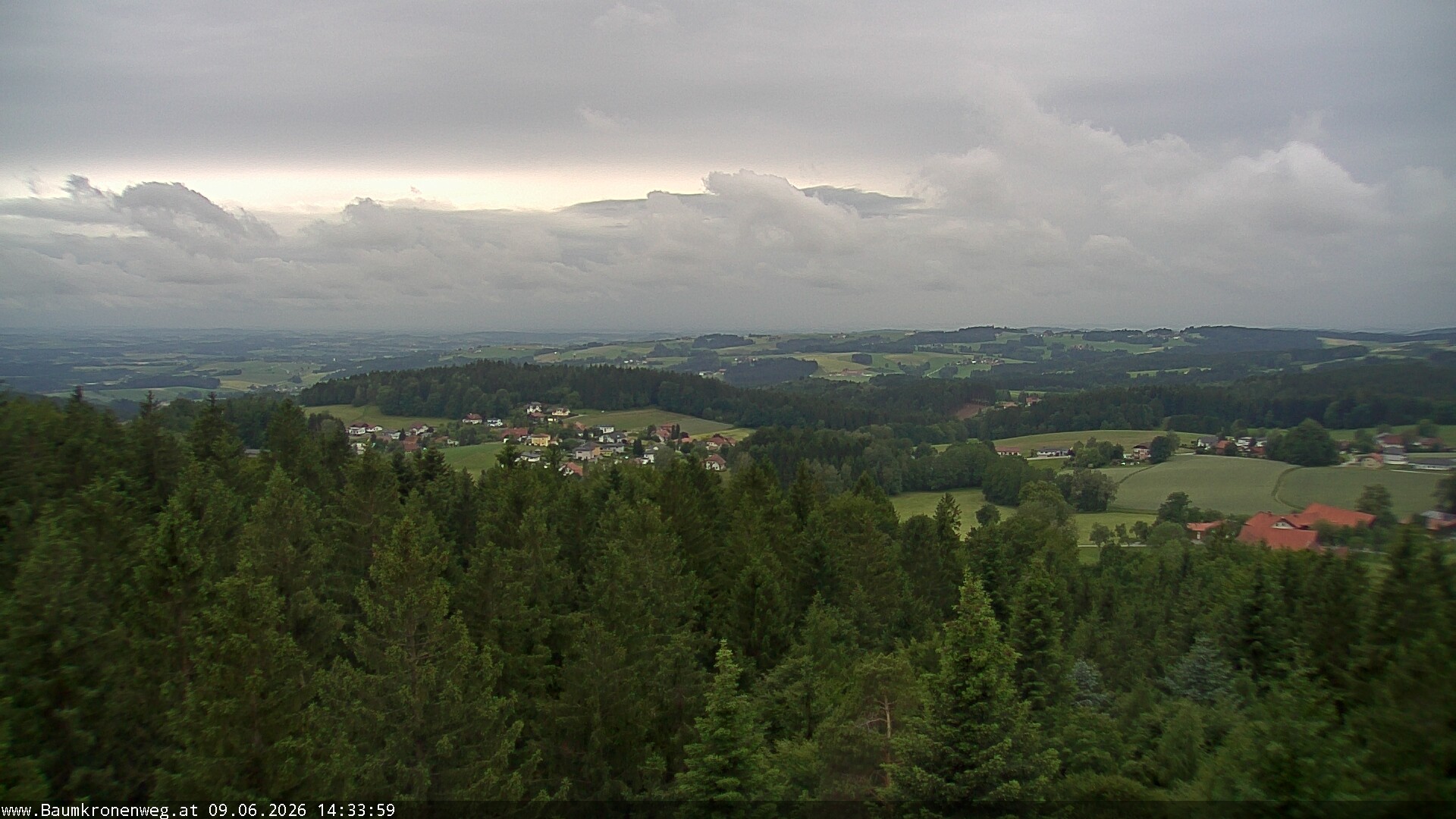 Archiv Foto Webcam Erlebnisturm Baumkronenweg Kopfing
