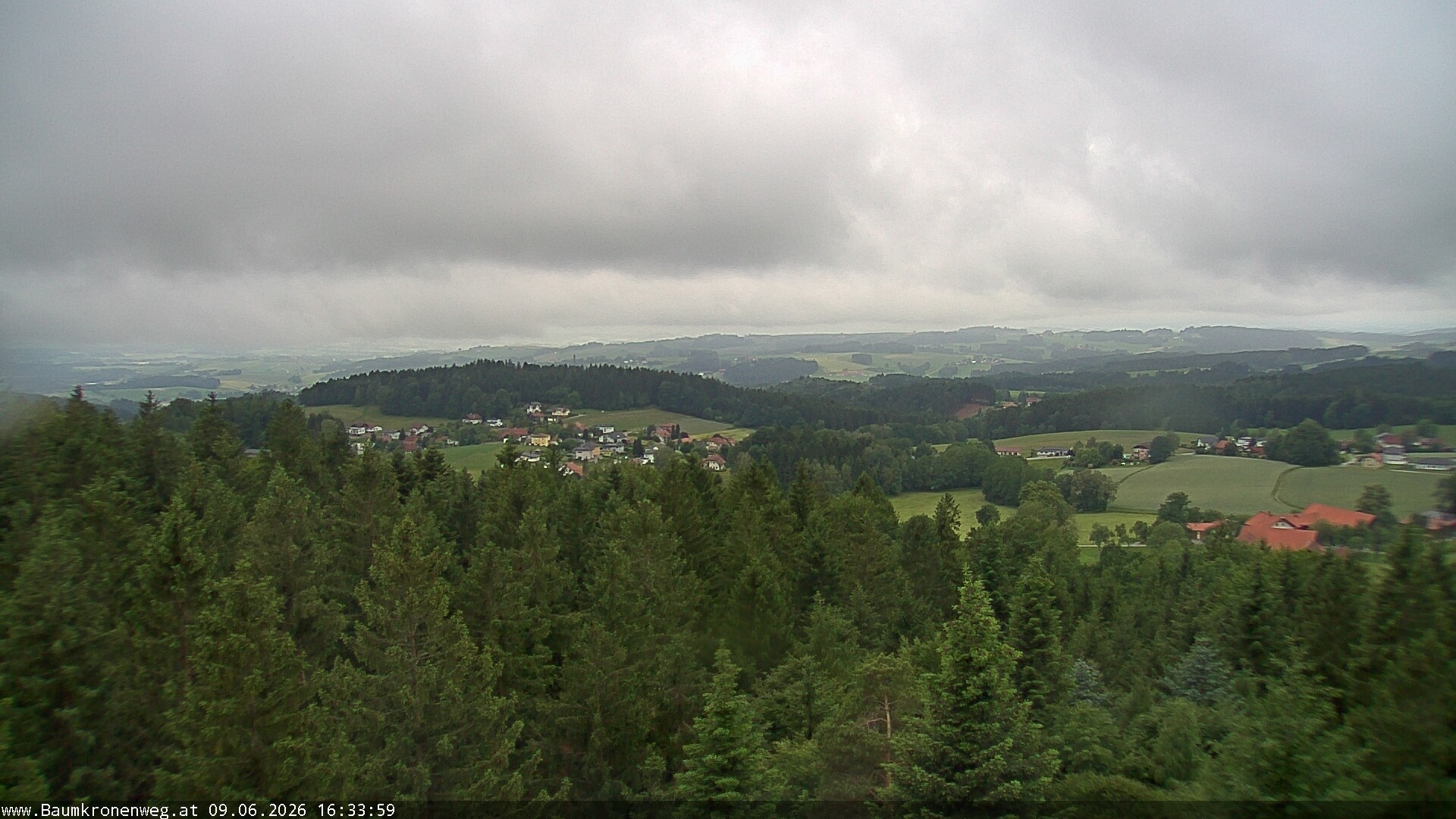 Archiv Foto Webcam Erlebnisturm Baumkronenweg Kopfing