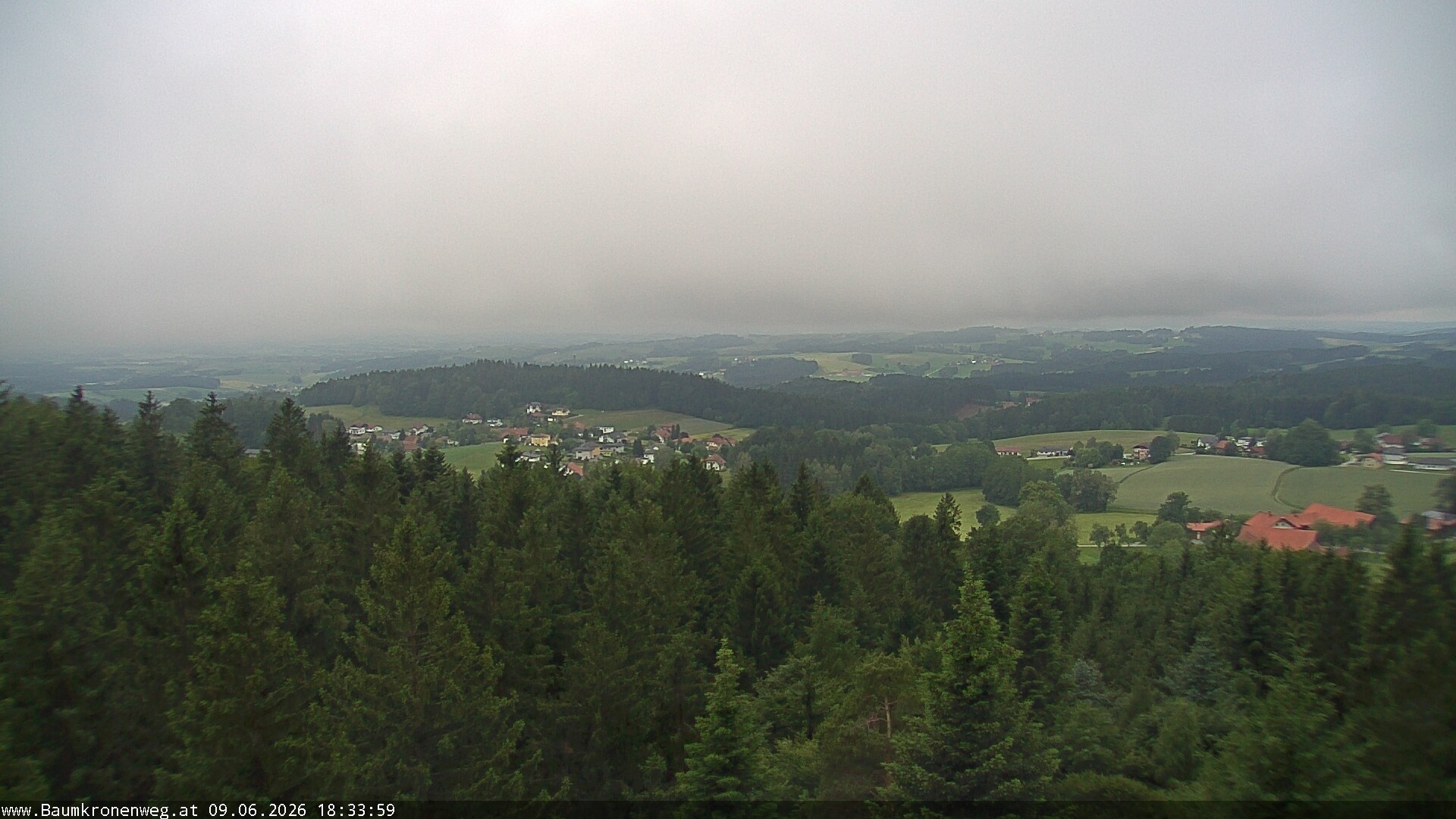 Archiv Foto Webcam Erlebnisturm Baumkronenweg Kopfing