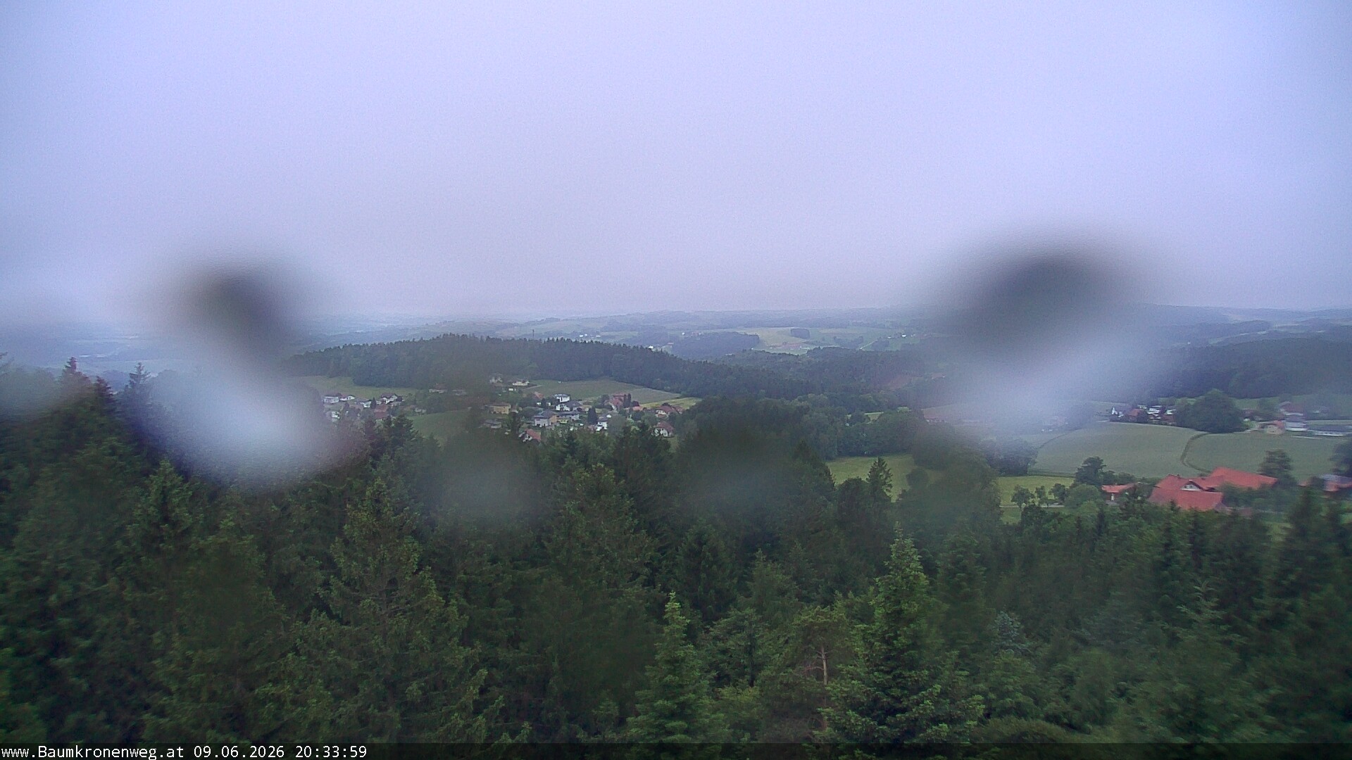 Archiv Foto Webcam Erlebnisturm Baumkronenweg Kopfing