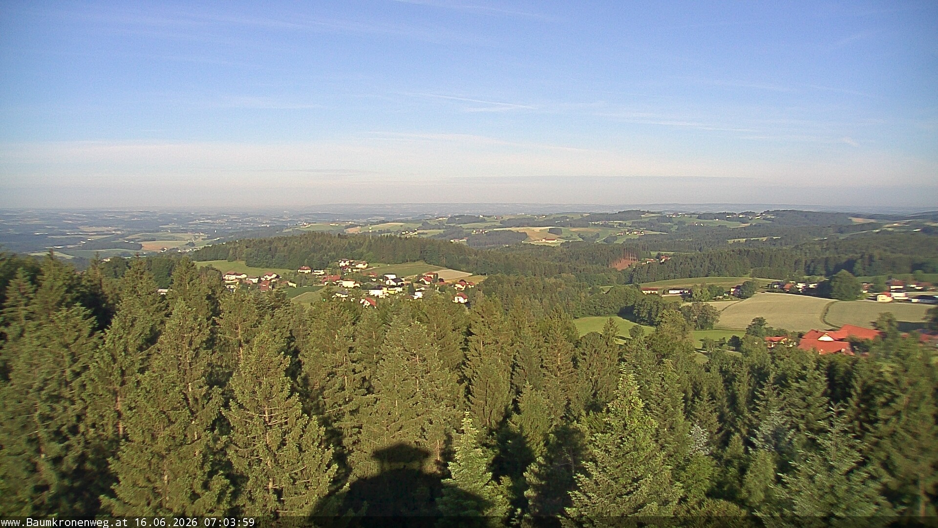 Archiv Foto Webcam Erlebnisturm Baumkronenweg Kopfing