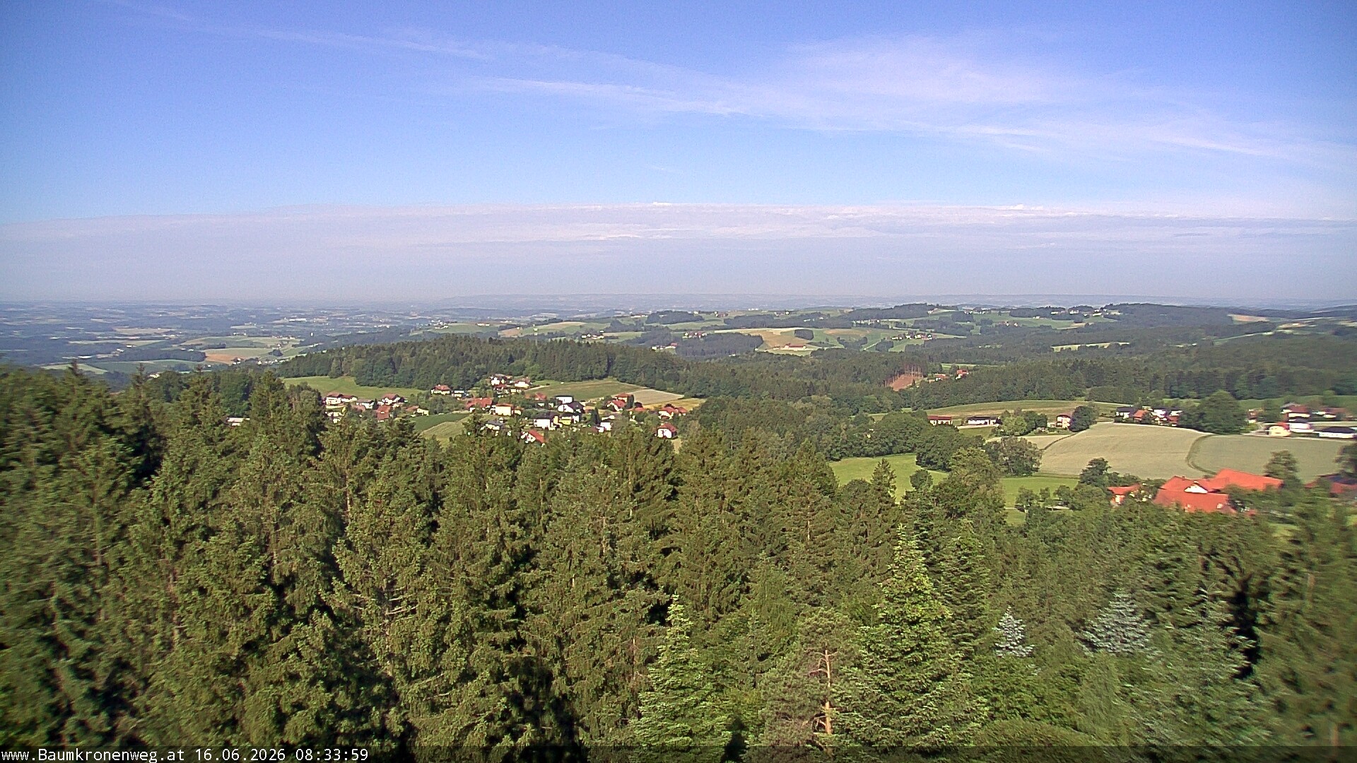 Archiv Foto Webcam Erlebnisturm Baumkronenweg Kopfing