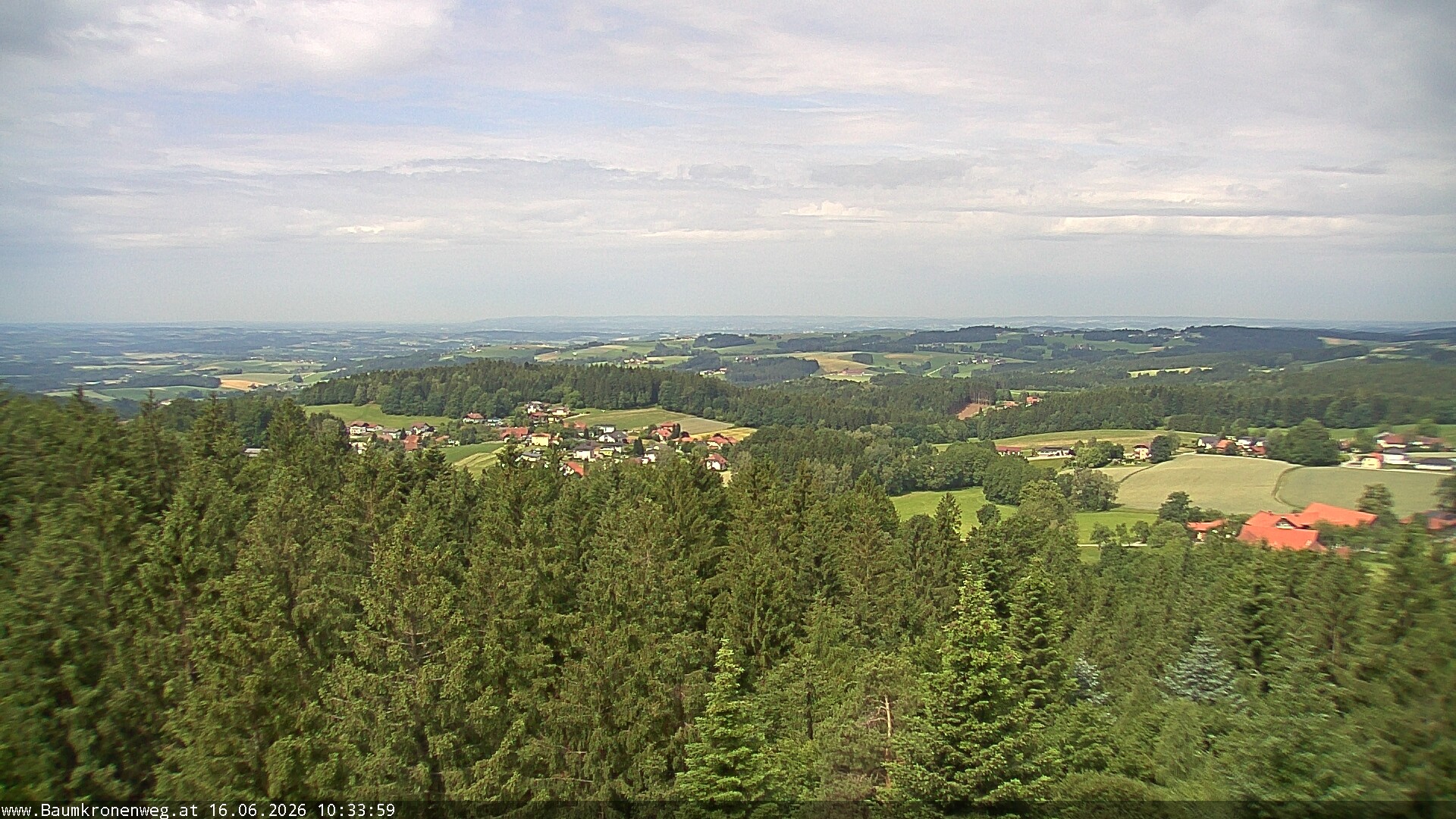 Archiv Foto Webcam Erlebnisturm Baumkronenweg Kopfing