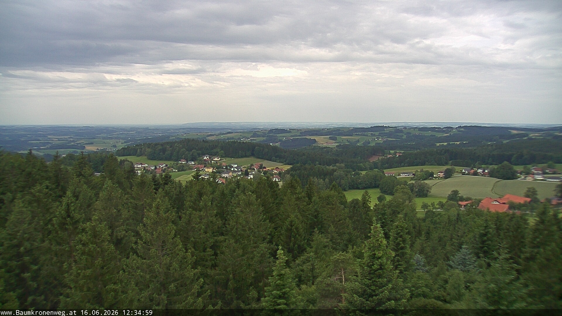 Archiv Foto Webcam Erlebnisturm Baumkronenweg Kopfing