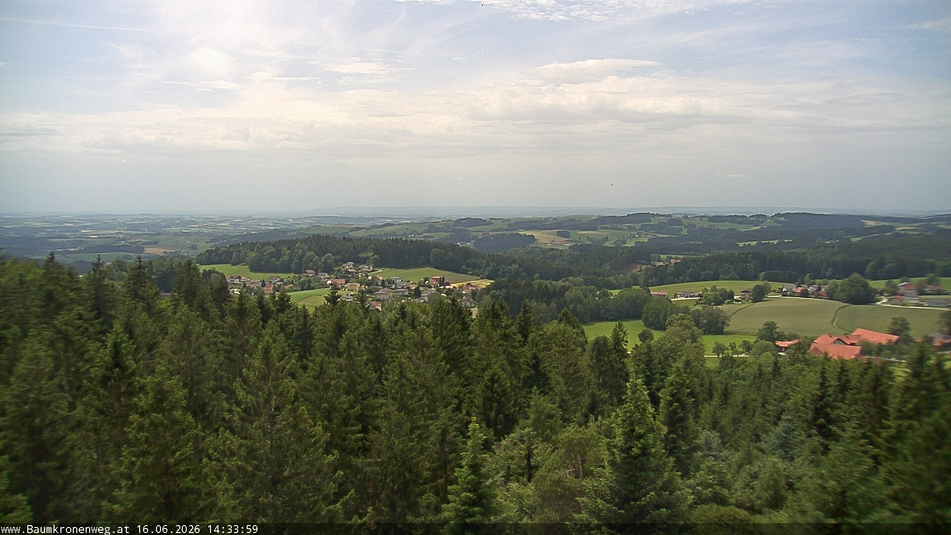 Archiv Foto Webcam Erlebnisturm Baumkronenweg Kopfing