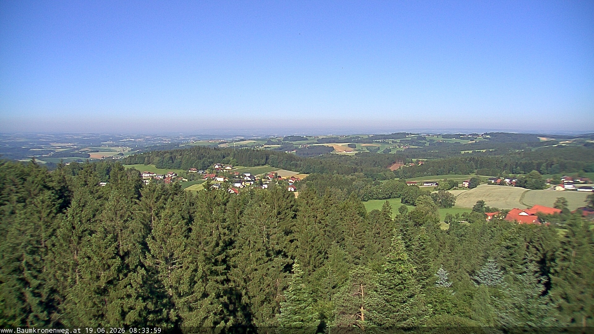 Archiv Foto Webcam Erlebnisturm Baumkronenweg Kopfing