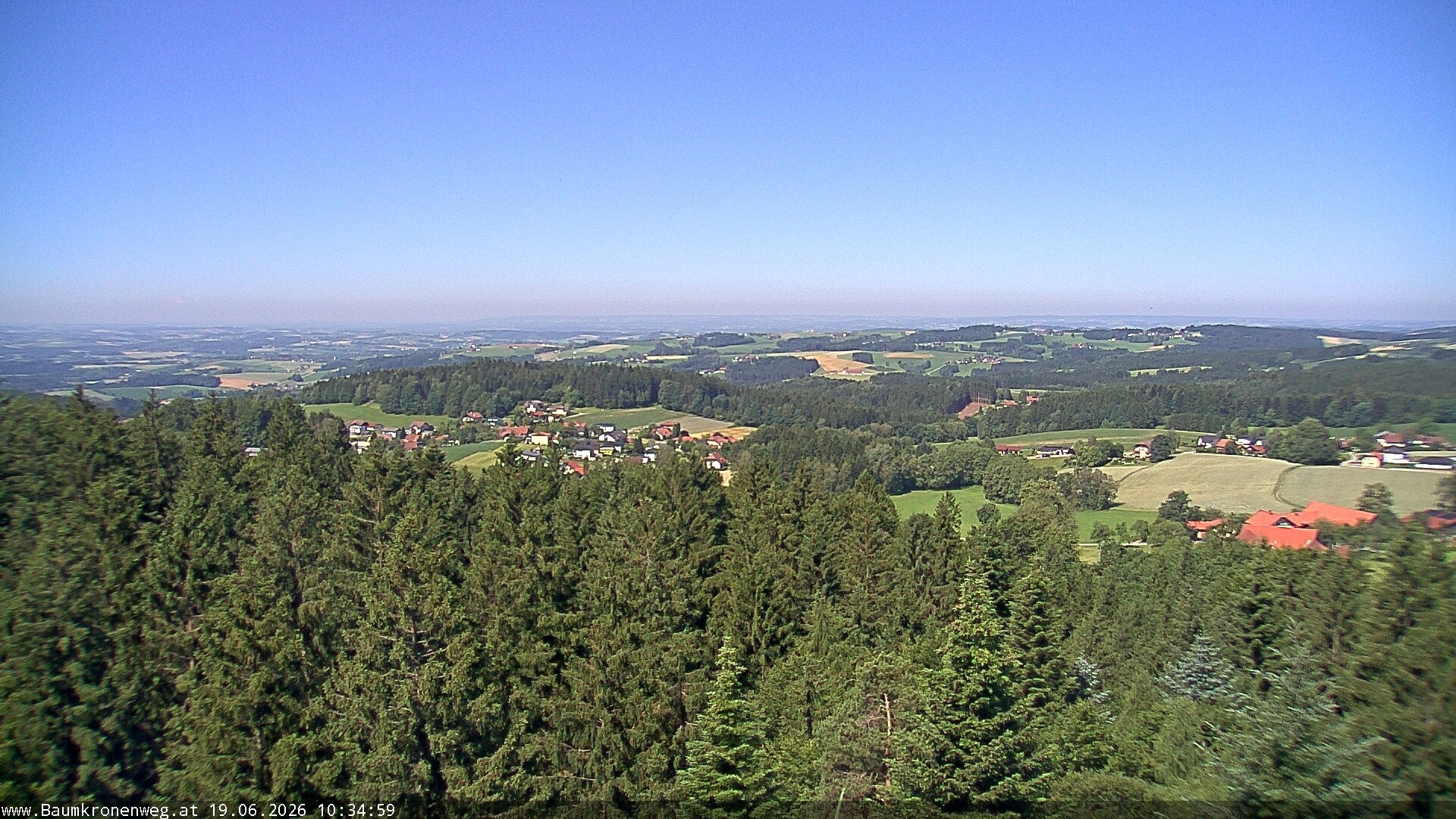 Archiv Foto Webcam Erlebnisturm Baumkronenweg Kopfing