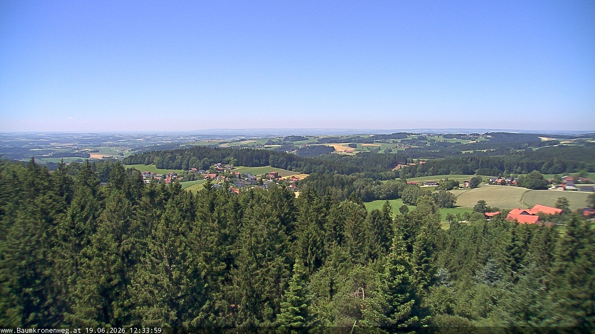 Archiv Foto Webcam Erlebnisturm Baumkronenweg Kopfing