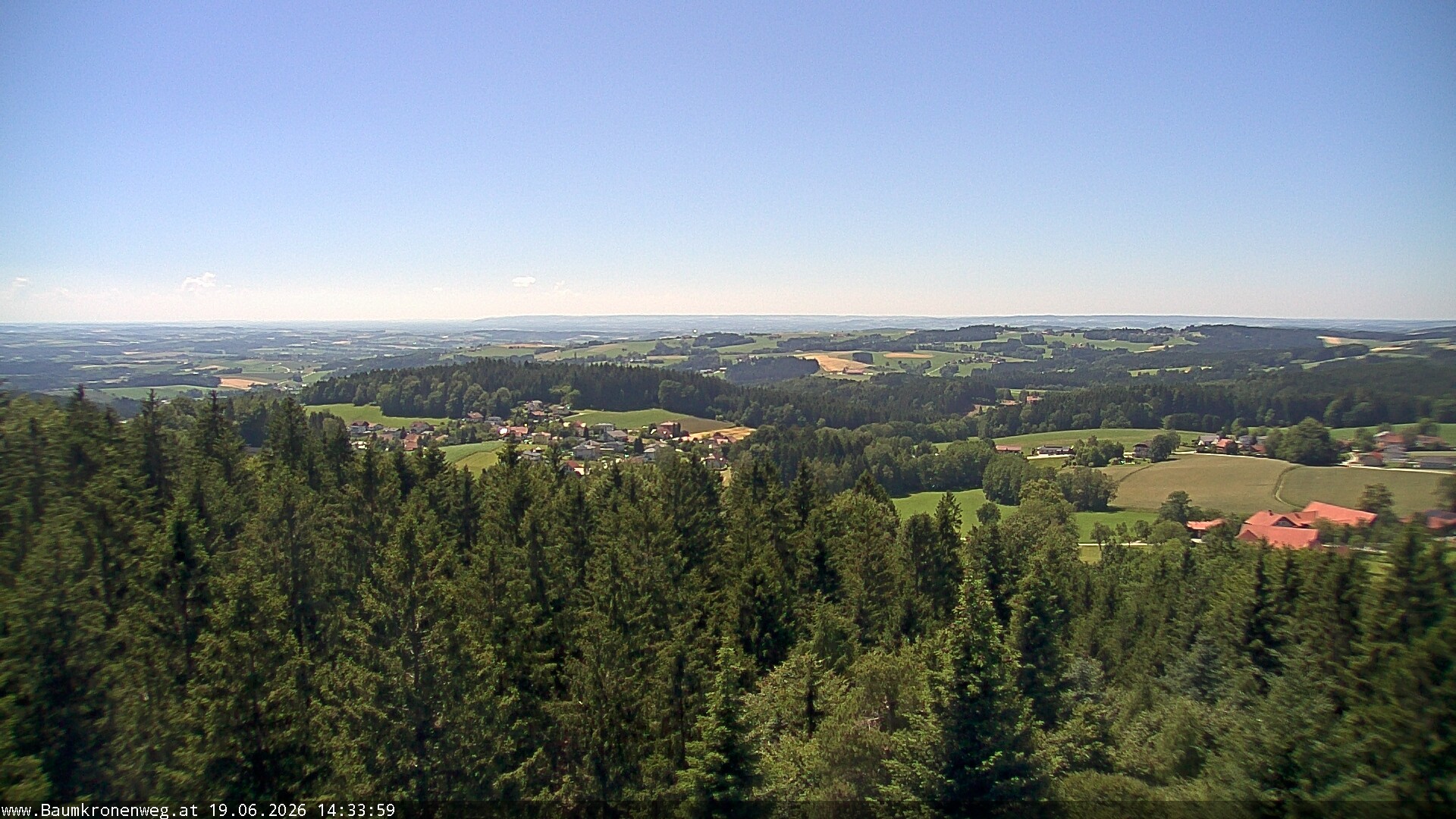 Archiv Foto Webcam Erlebnisturm Baumkronenweg Kopfing