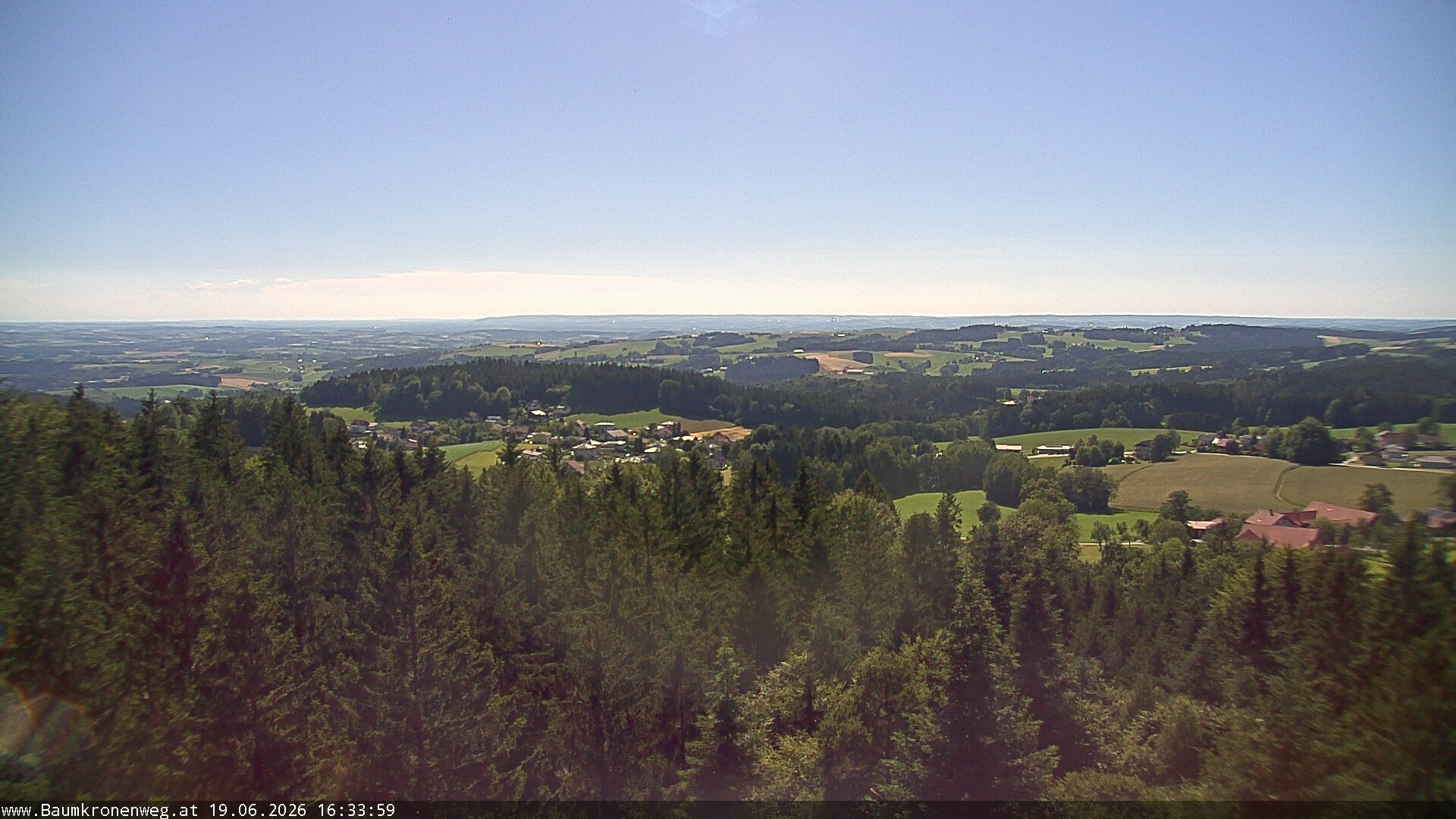Archiv Foto Webcam Erlebnisturm Baumkronenweg Kopfing
