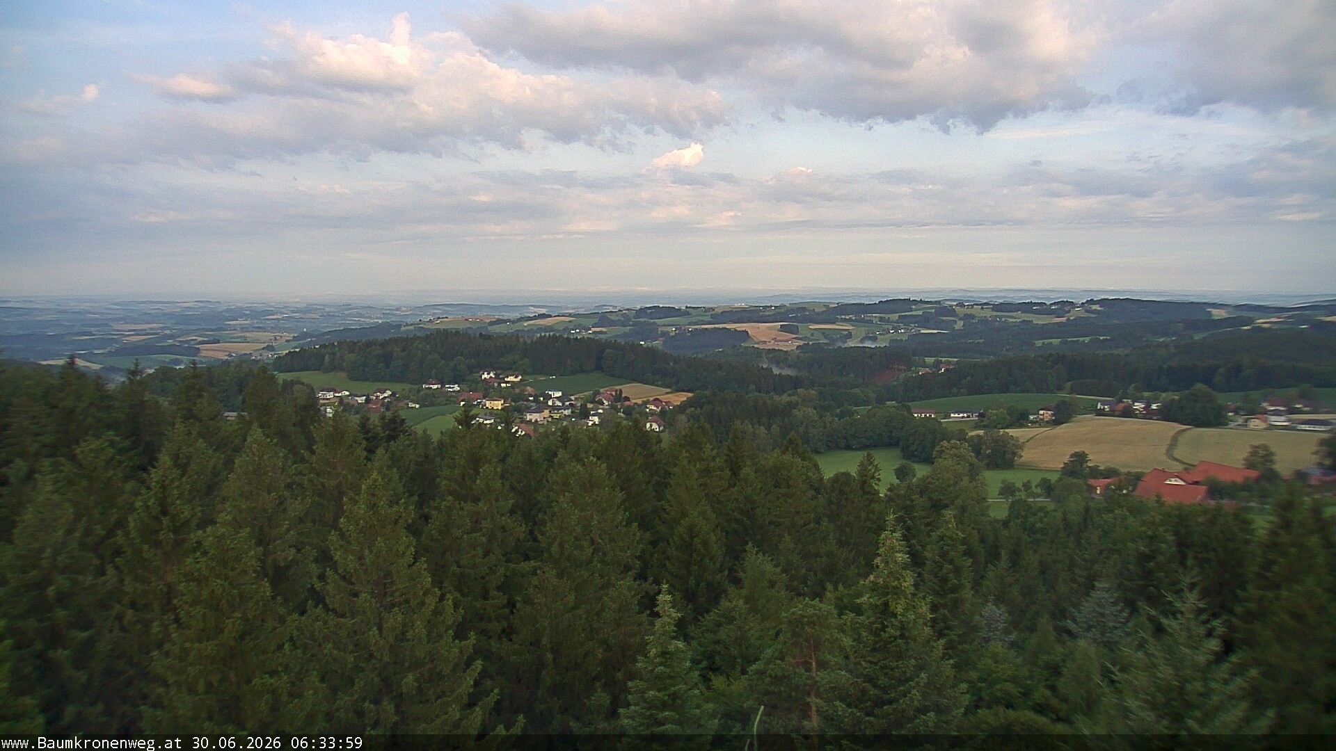 Archiv Foto Webcam Erlebnisturm Baumkronenweg Kopfing
