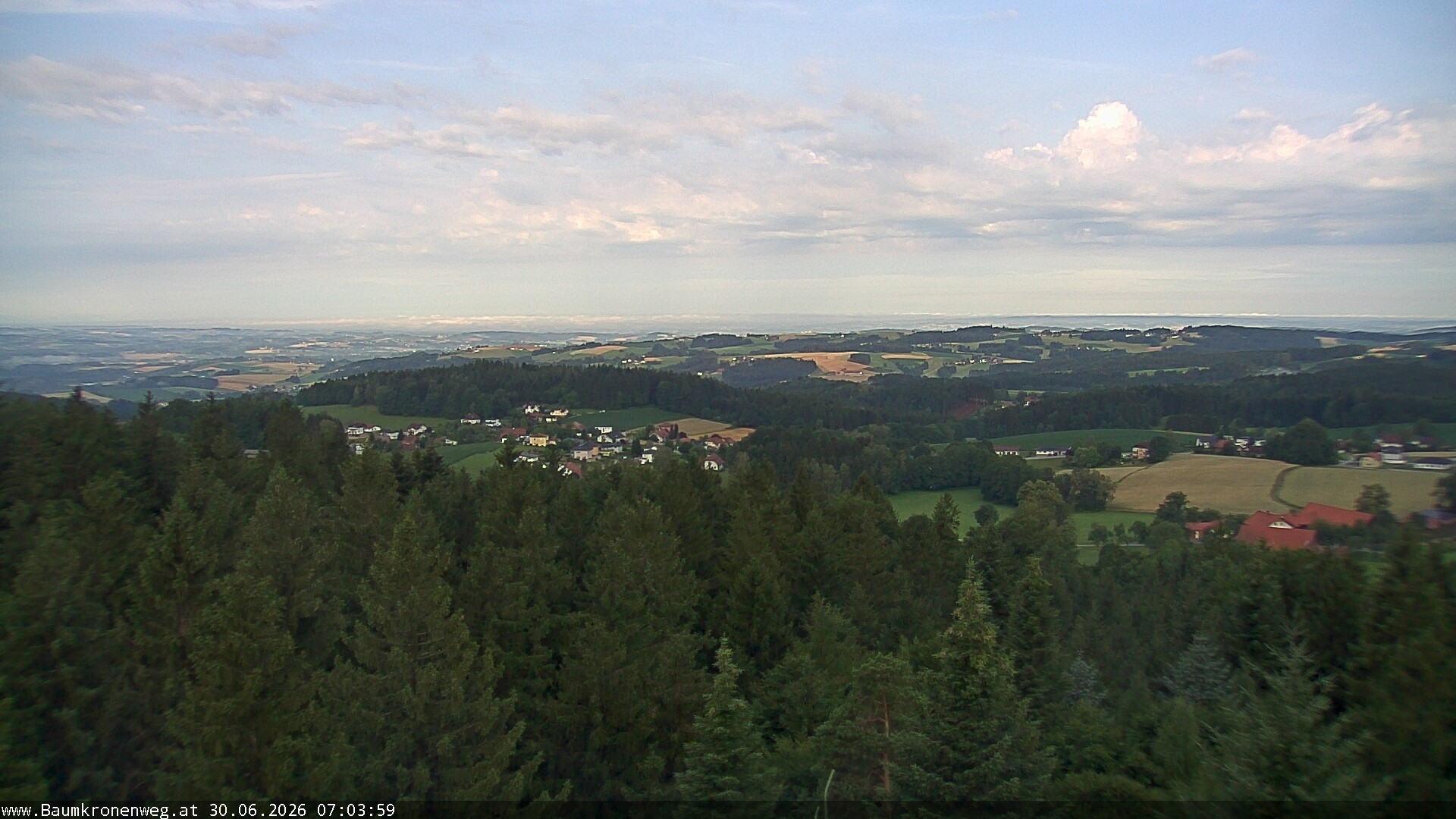 Archiv Foto Webcam Erlebnisturm Baumkronenweg Kopfing